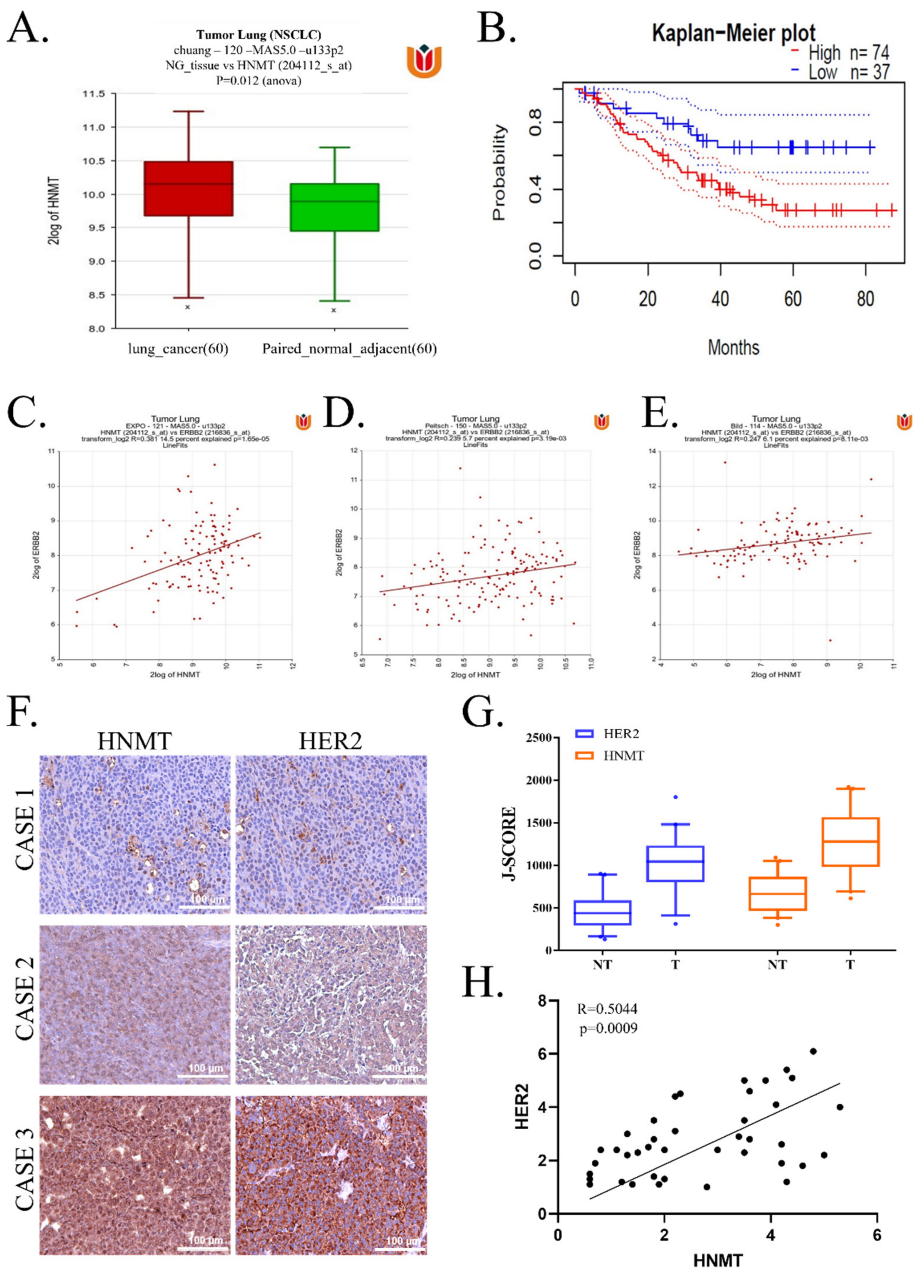 Ijms 23 01663 g001 550