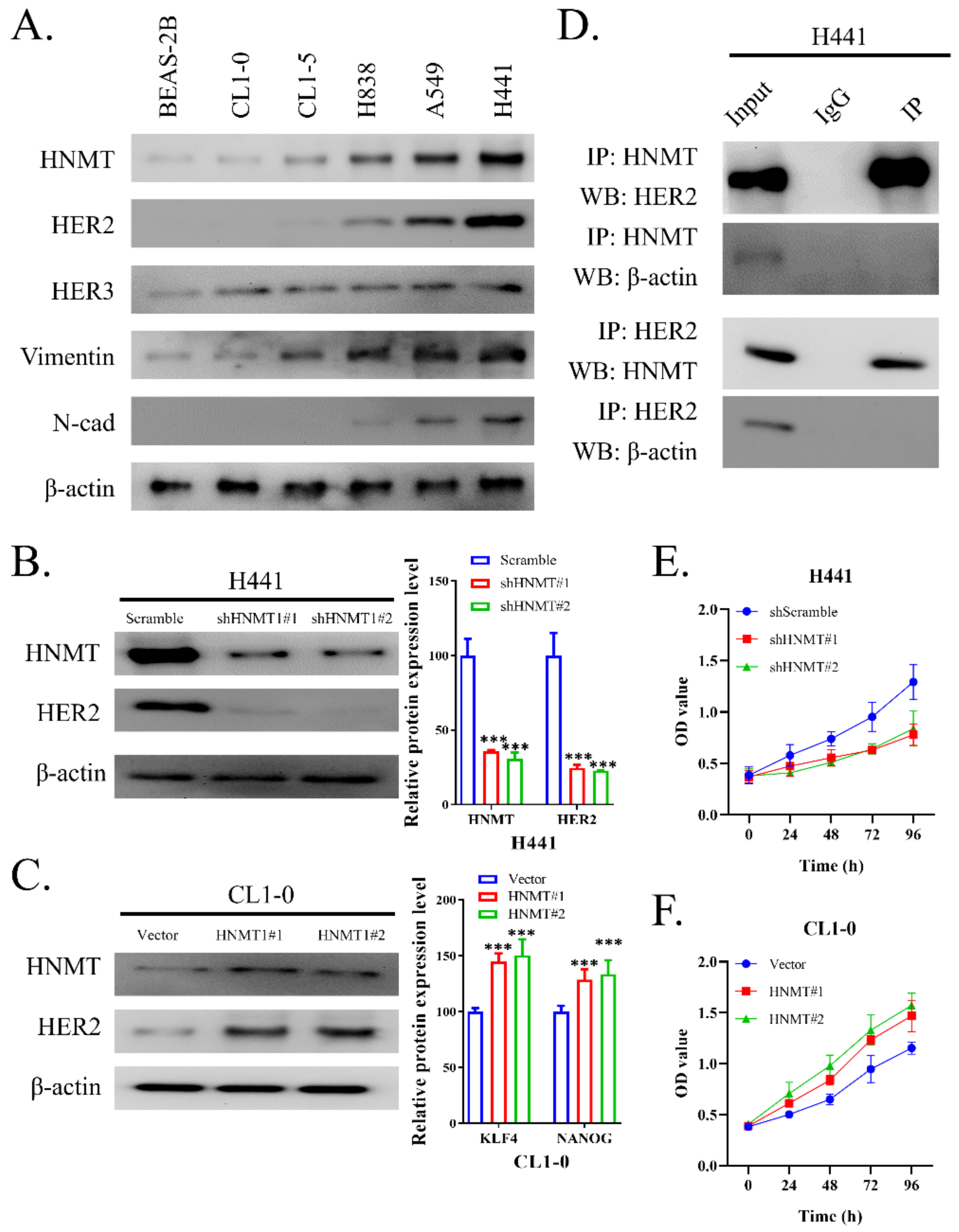 Ijms 23 01663 g002 550