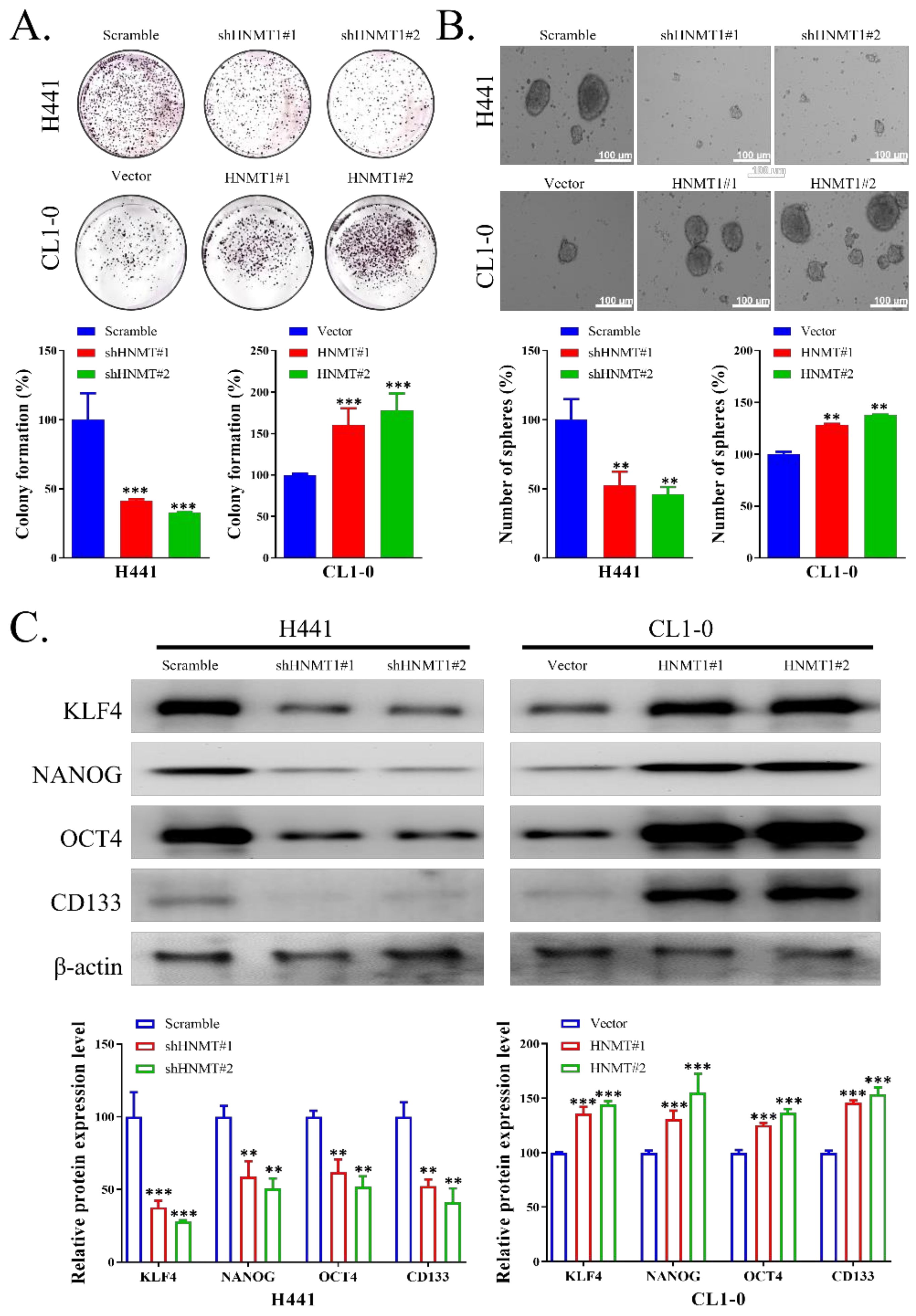 Ijms 23 01663 g003 550