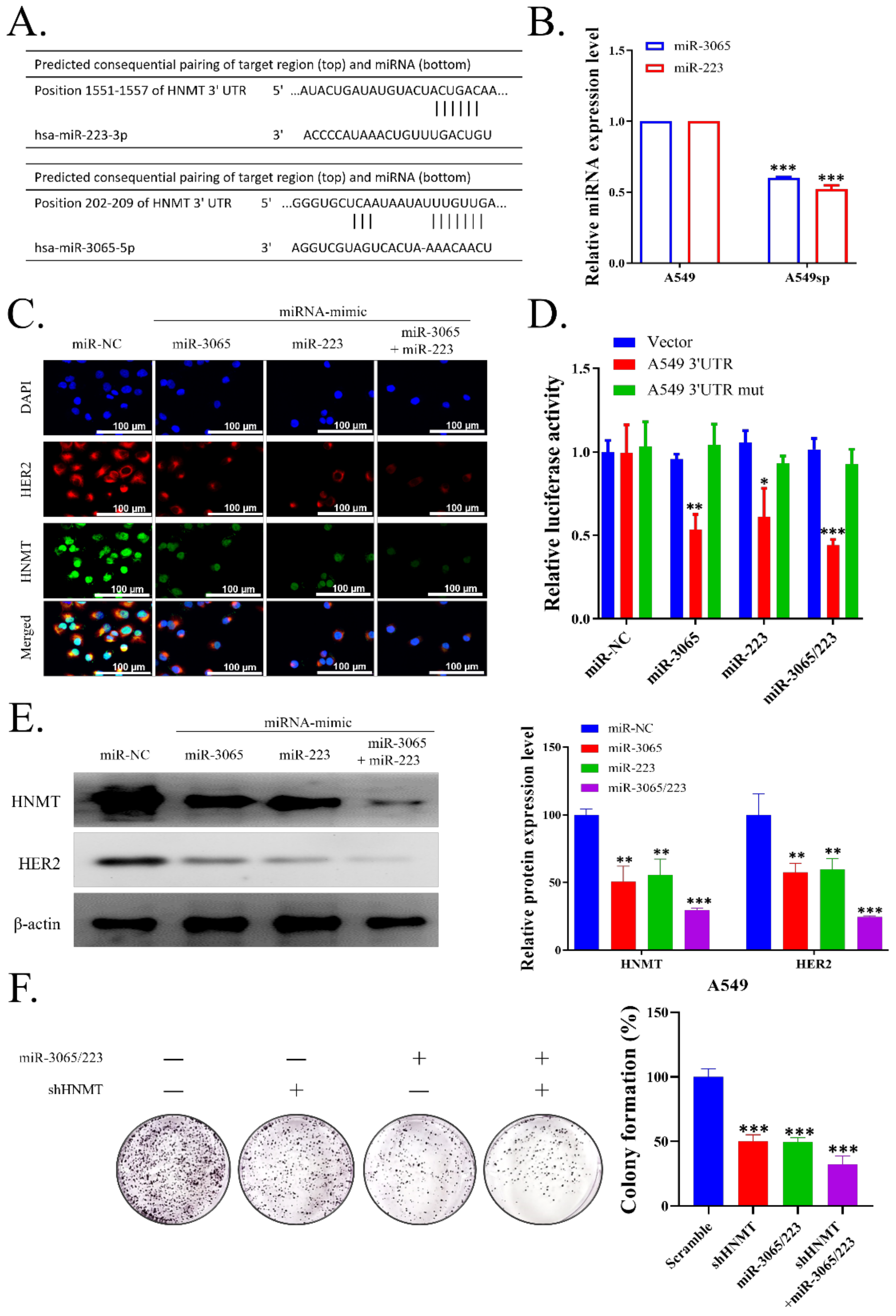 Ijms 23 01663 g004 550