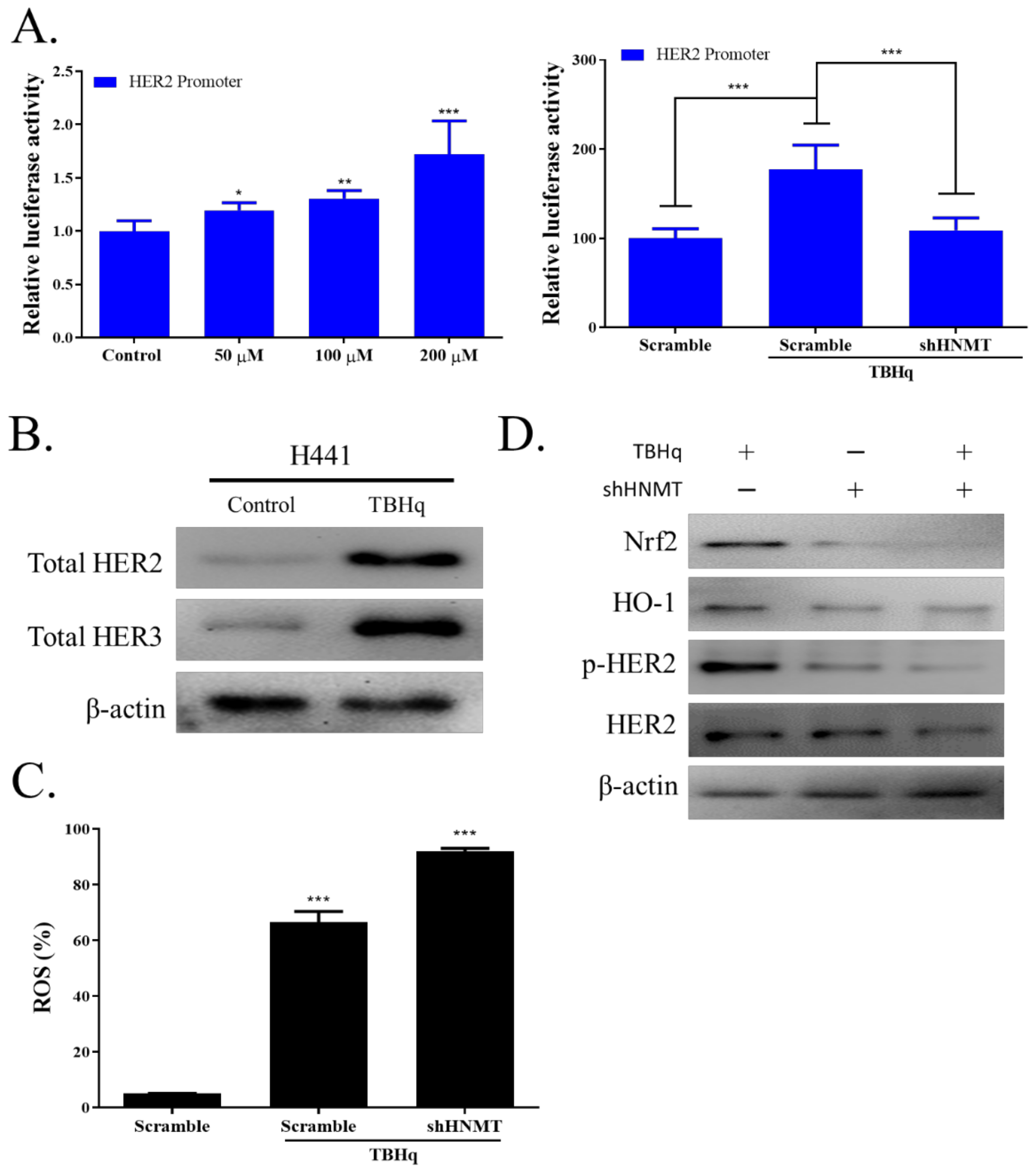 Ijms 23 01663 g005 550