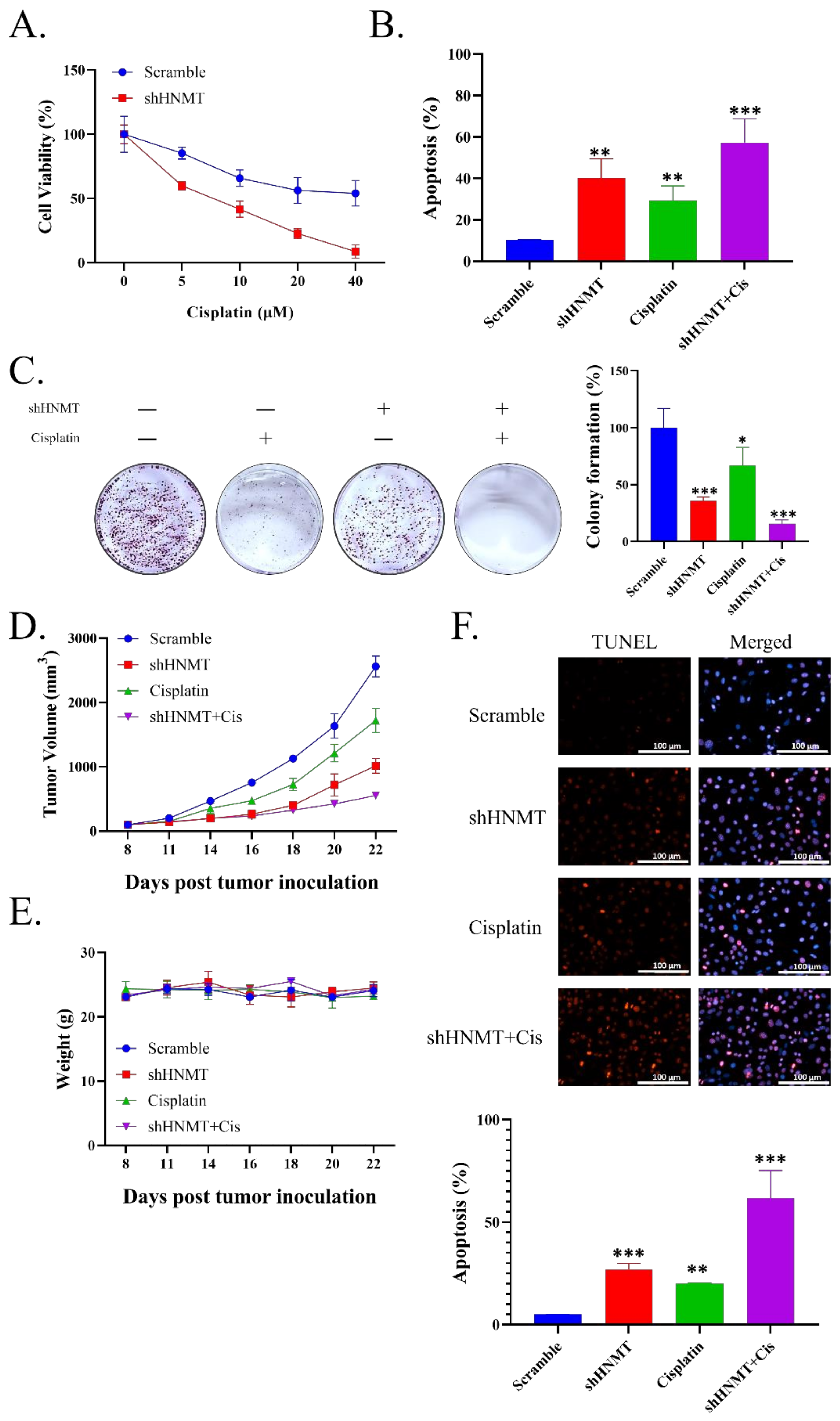 Ijms 23 01663 g006 550