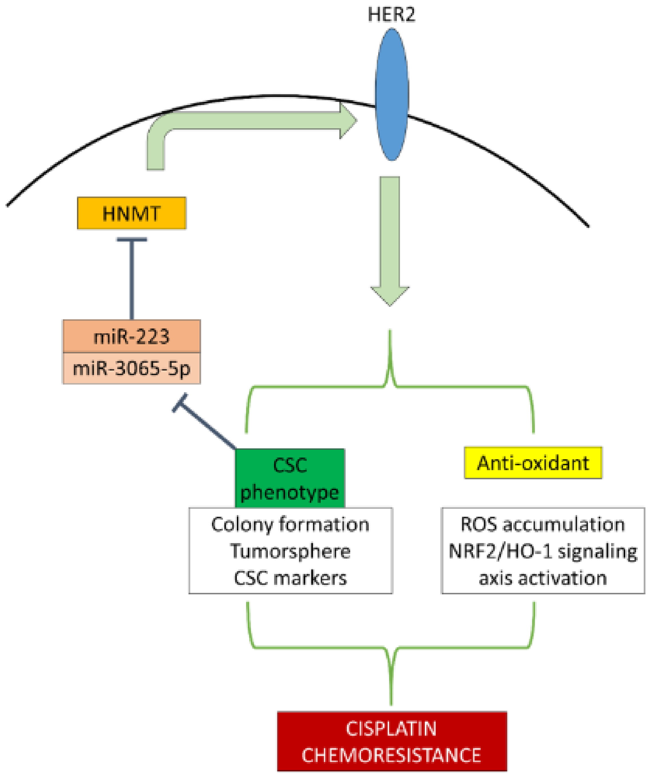 Ijms 23 01663 g007 550