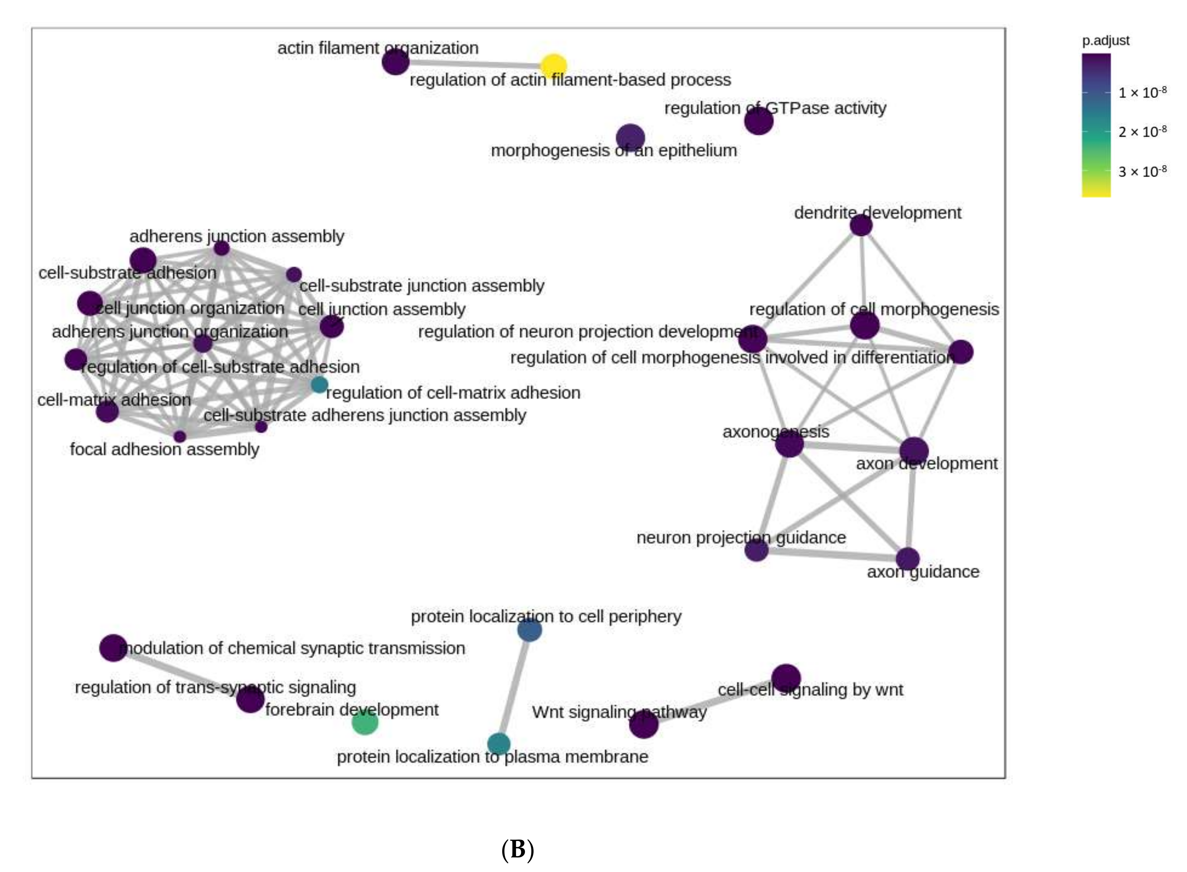 Ijms 23 01666 g004b Ijms 23 01666 g004b