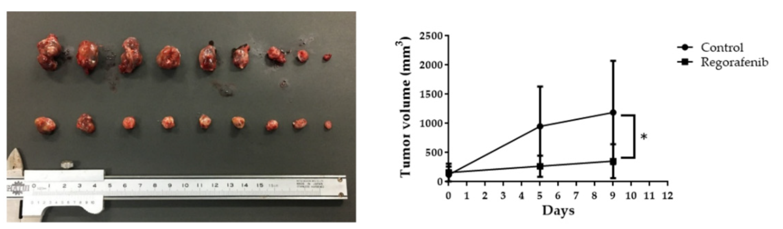 Ijms 23 01667 g004 550