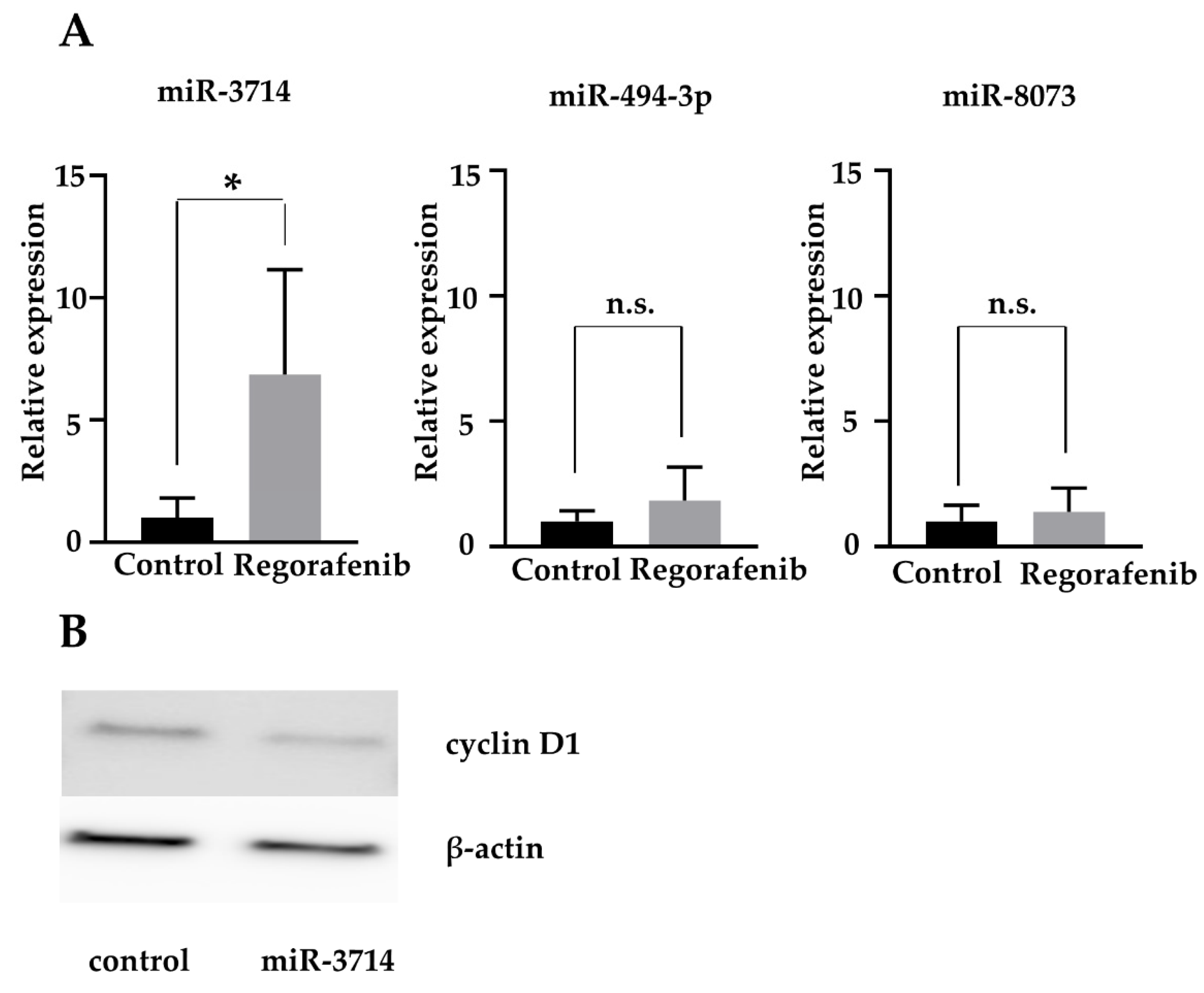 Ijms 23 01667 g006 550