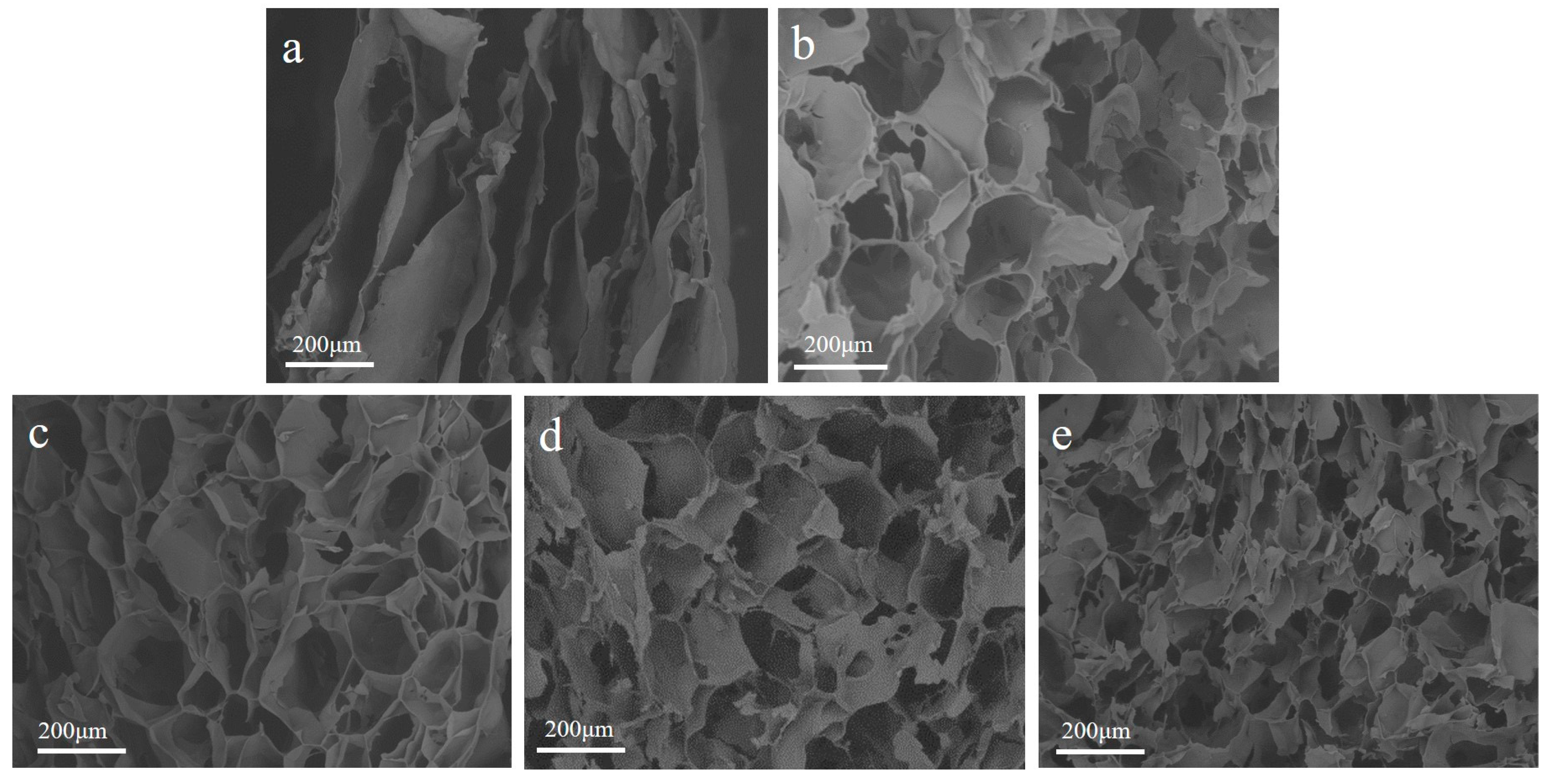 Ijms 23 01668 g003 550