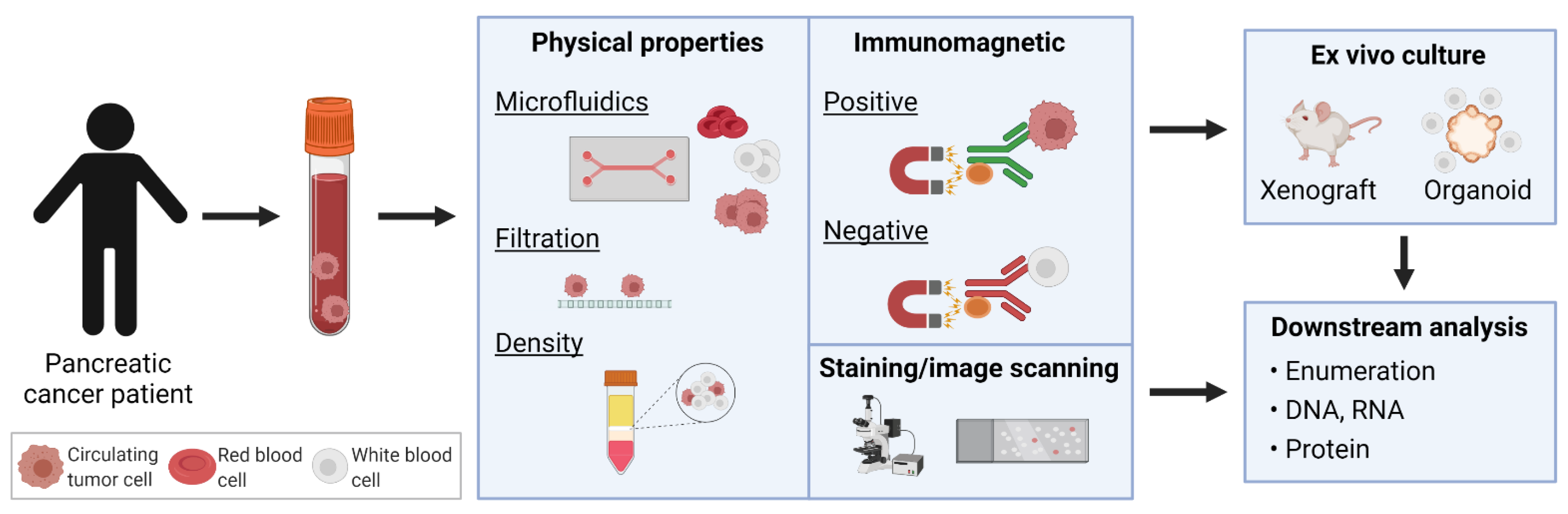 System Modularity Chip for Analysis of Rare Targets (SMART-Chip): Liquid  Biopsy Samples