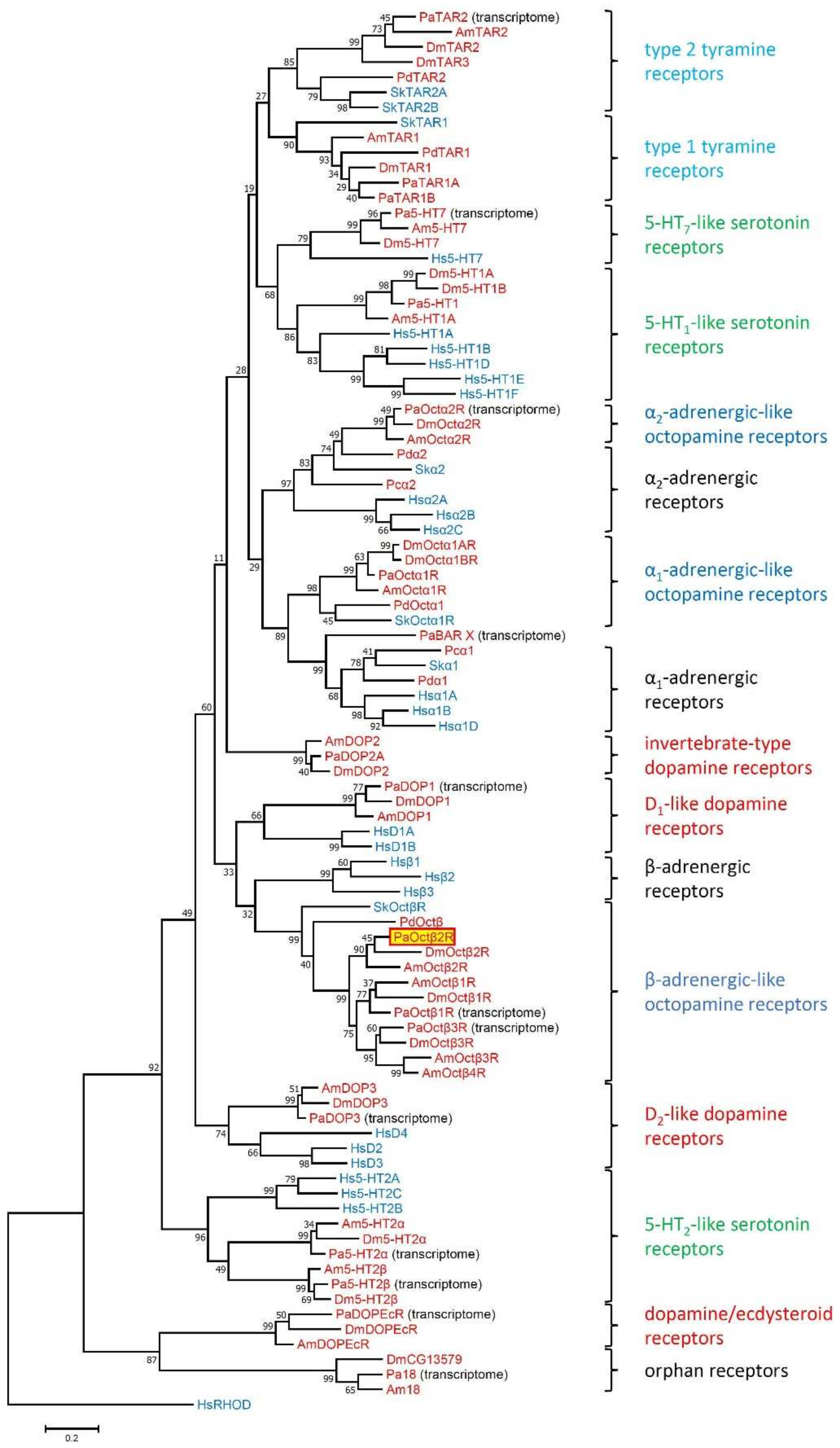 Ijms 23 01677 g002 Ijms 23 01677 g002