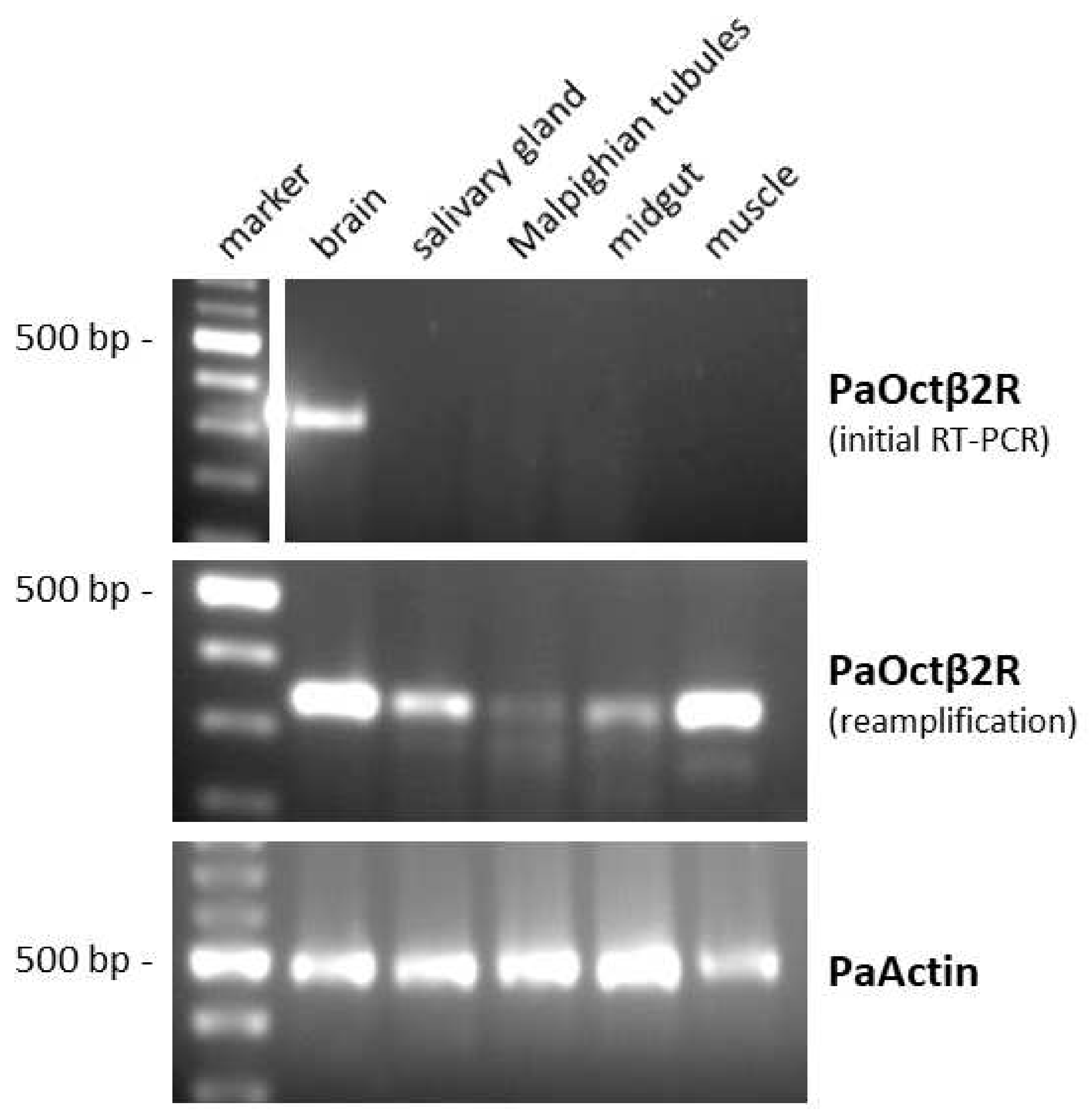 Ijms 23 01677 g003 Ijms 23 01677 g003