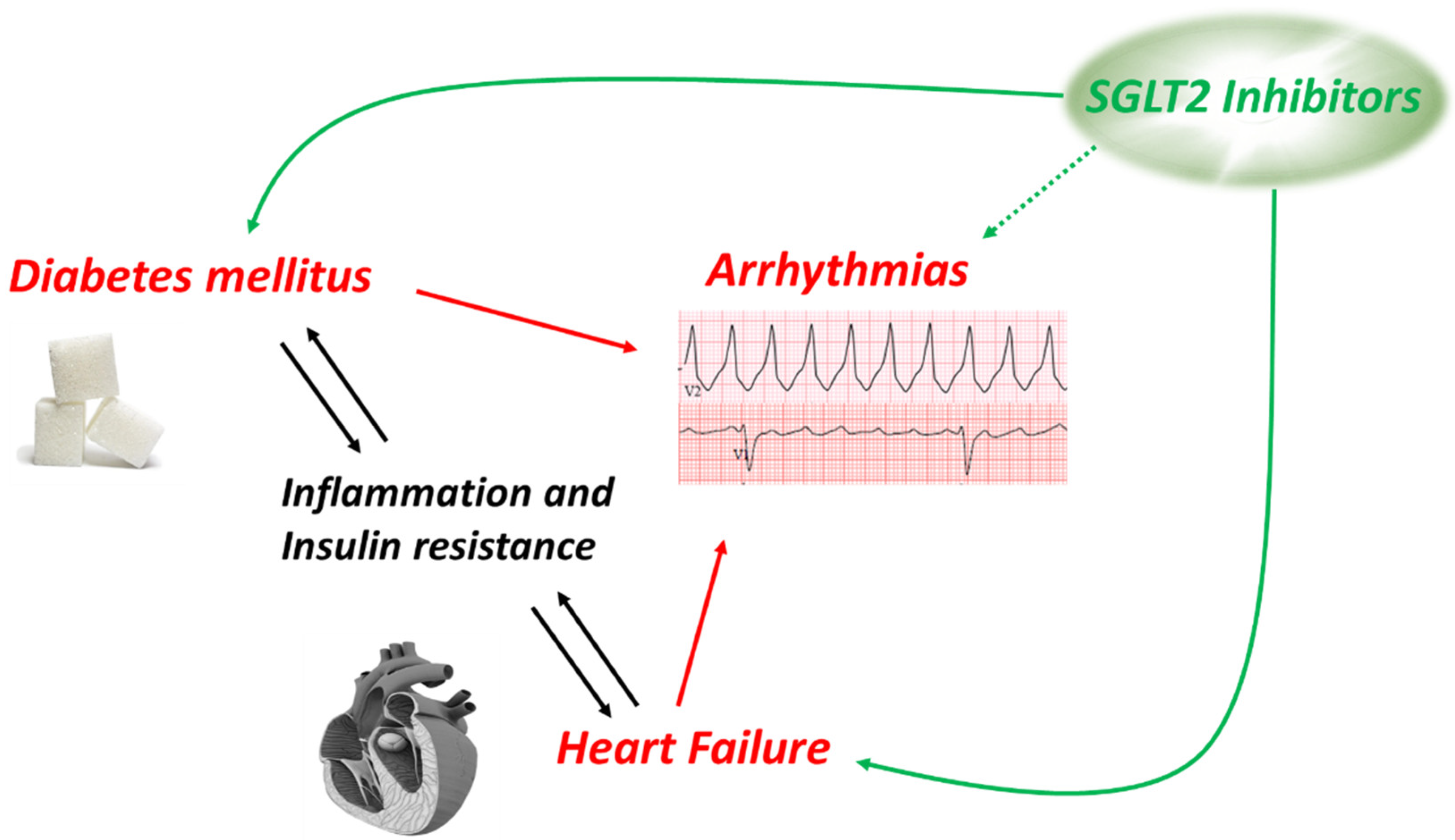 Ijms 23 01678 g002 Ijms 23 01678 g002