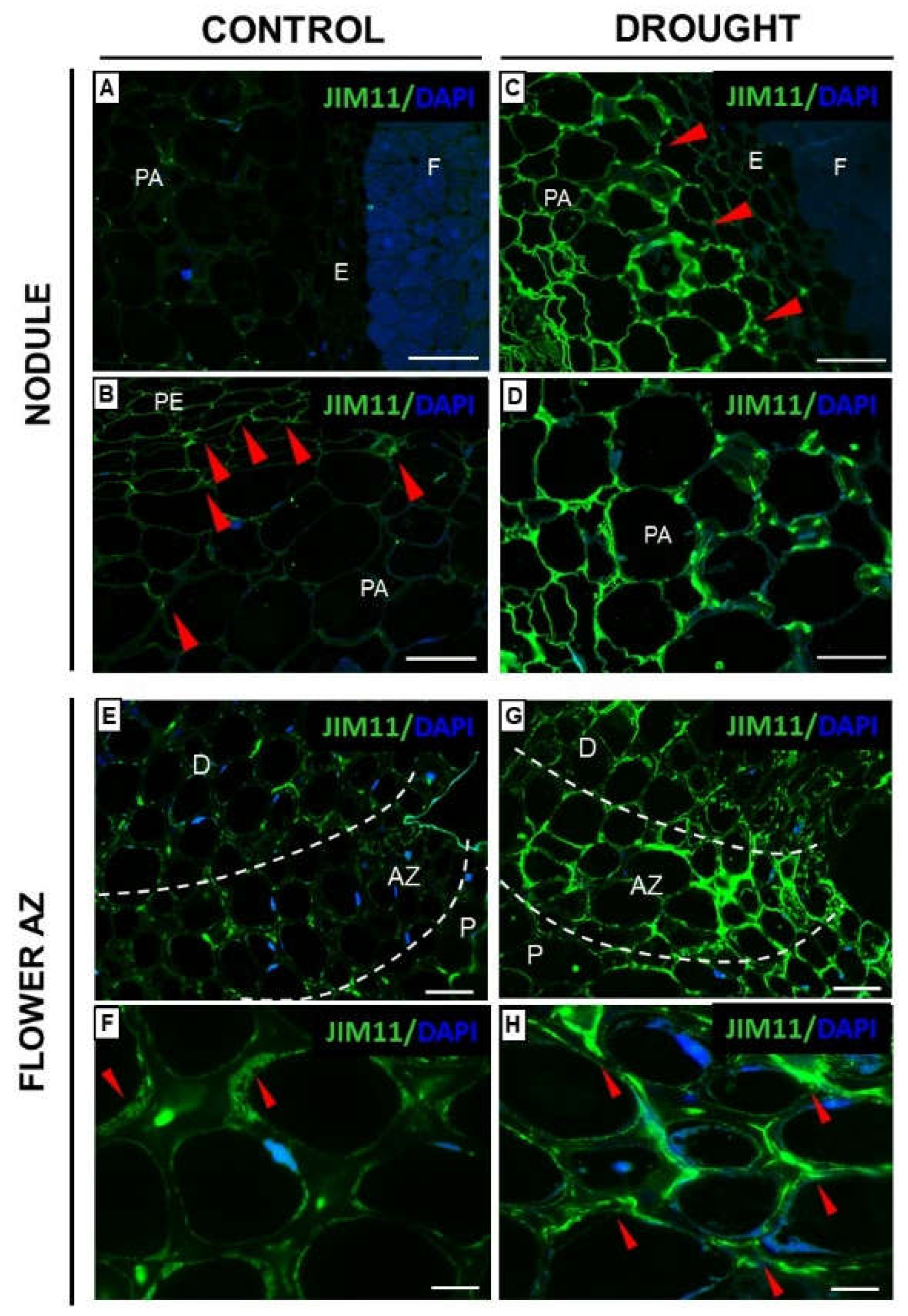 Ijms 23 01680 g003 Ijms 23 01680 g003