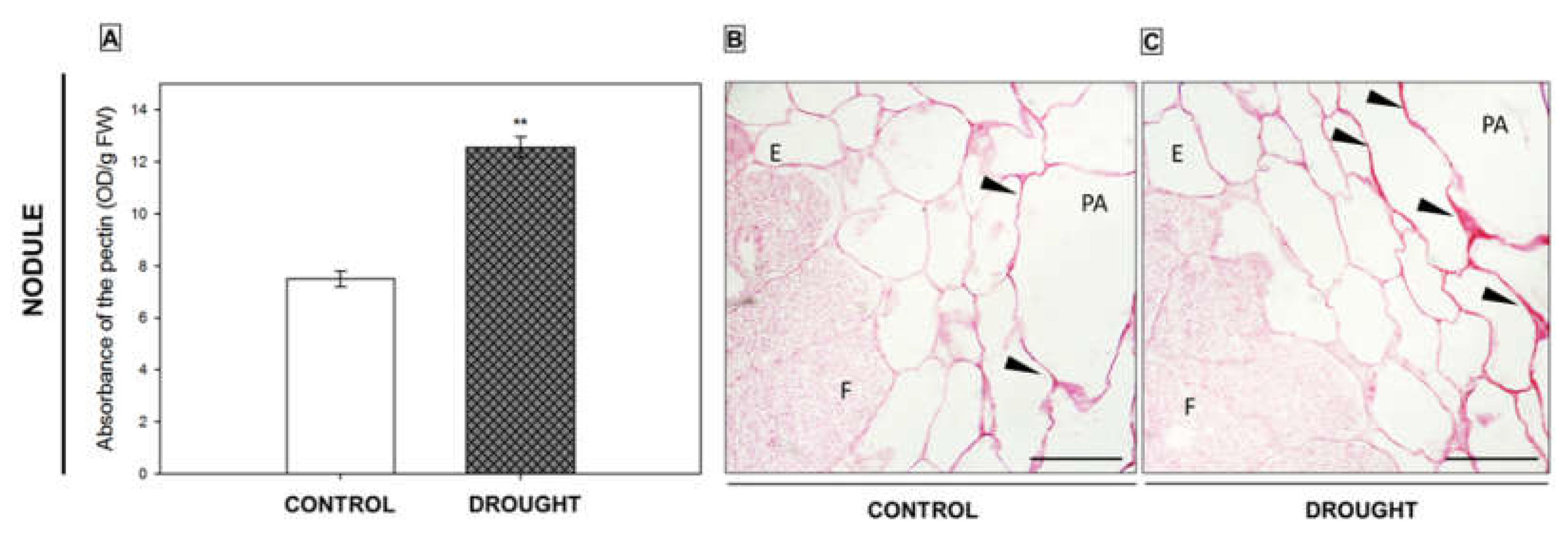 Ijms 23 01680 g005 Ijms 23 01680 g005