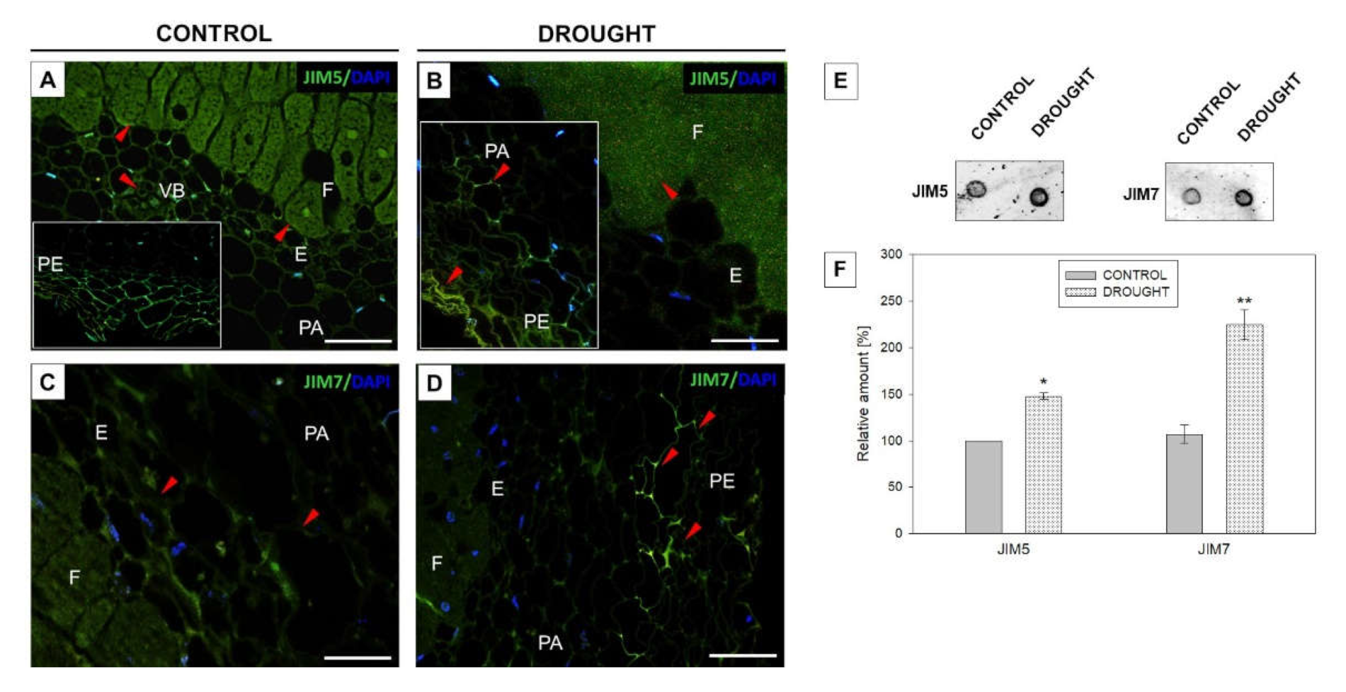 Ijms 23 01680 g006 Ijms 23 01680 g006