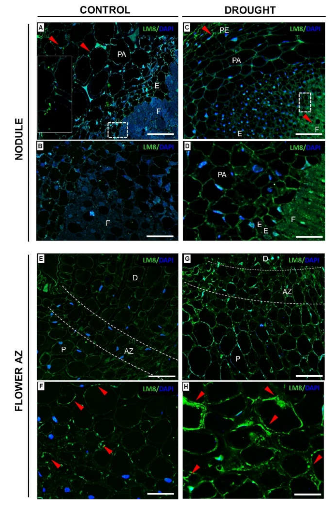 Ijms 23 01680 g009 Ijms 23 01680 g009
