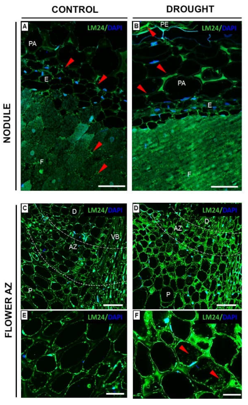 Ijms 23 01680 g010 Ijms 23 01680 g010