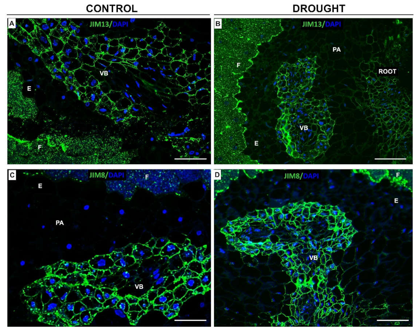 Ijms 23 01680 g012 Ijms 23 01680 g012