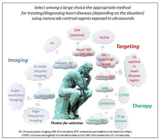 Nanomaterials as Ultrasound Theragnostic Tools for Heart Disease