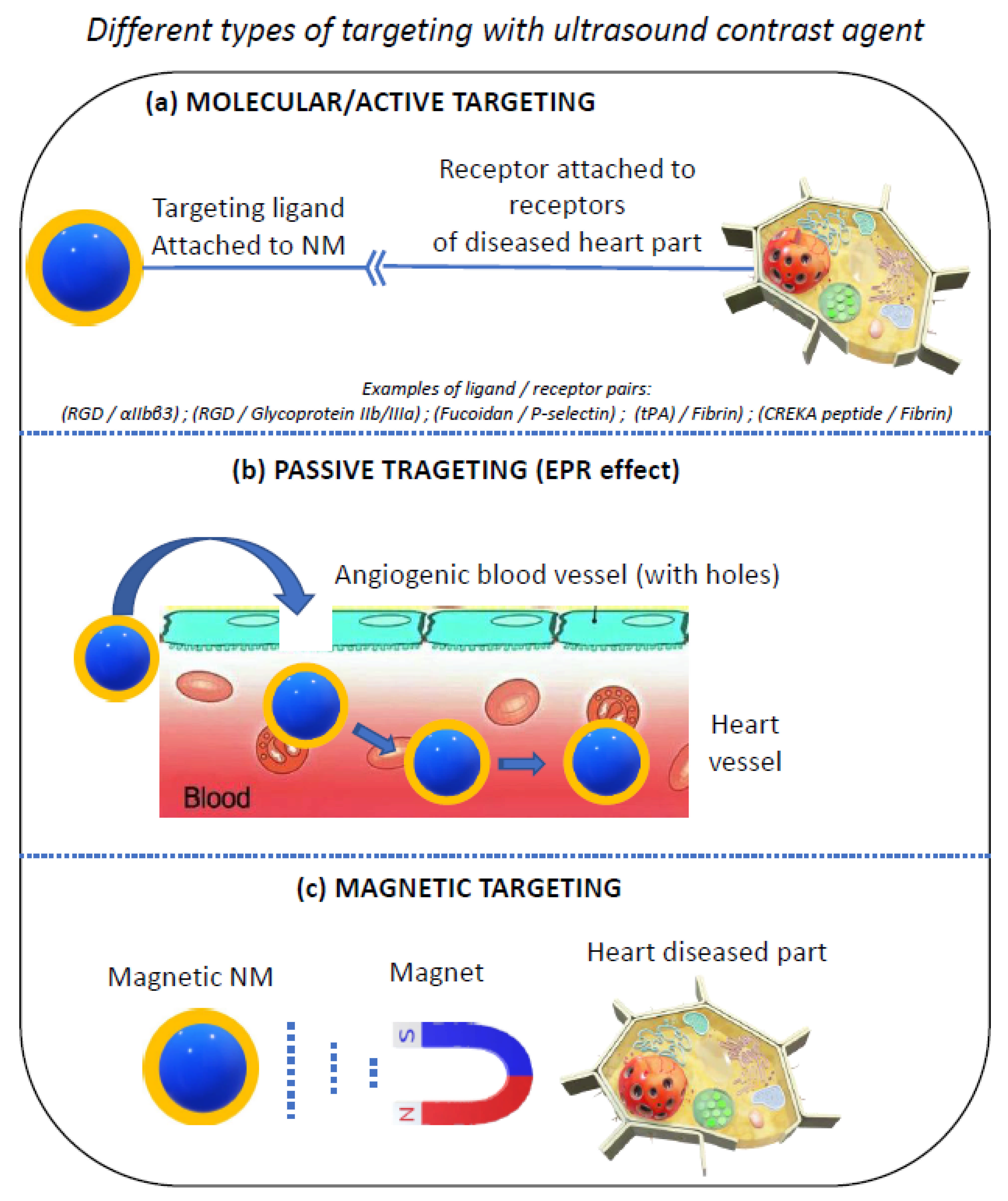 Ijms 23 01683 g002 Ijms 23 01683 g002