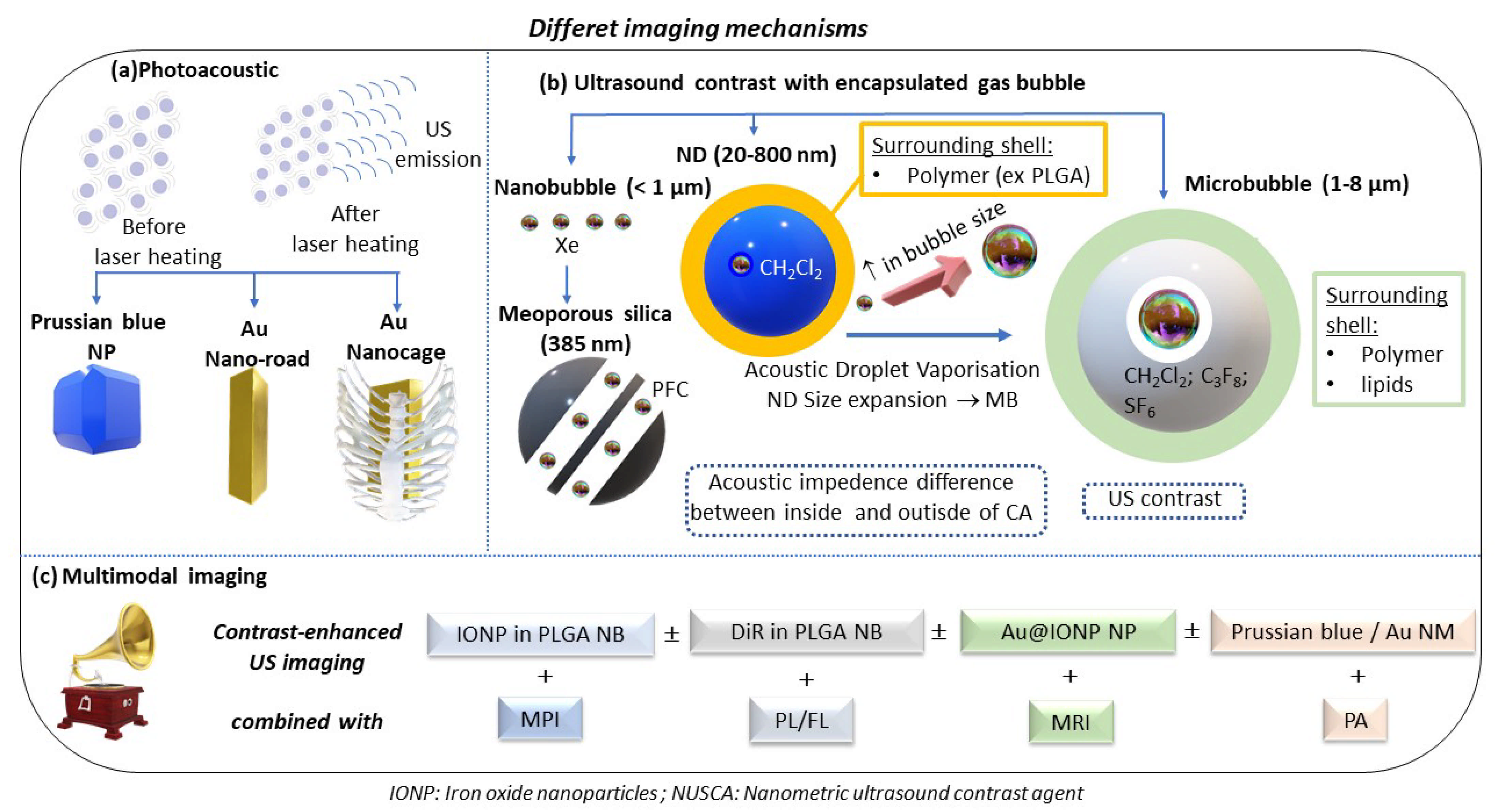 Ijms 23 01683 g003 Ijms 23 01683 g003