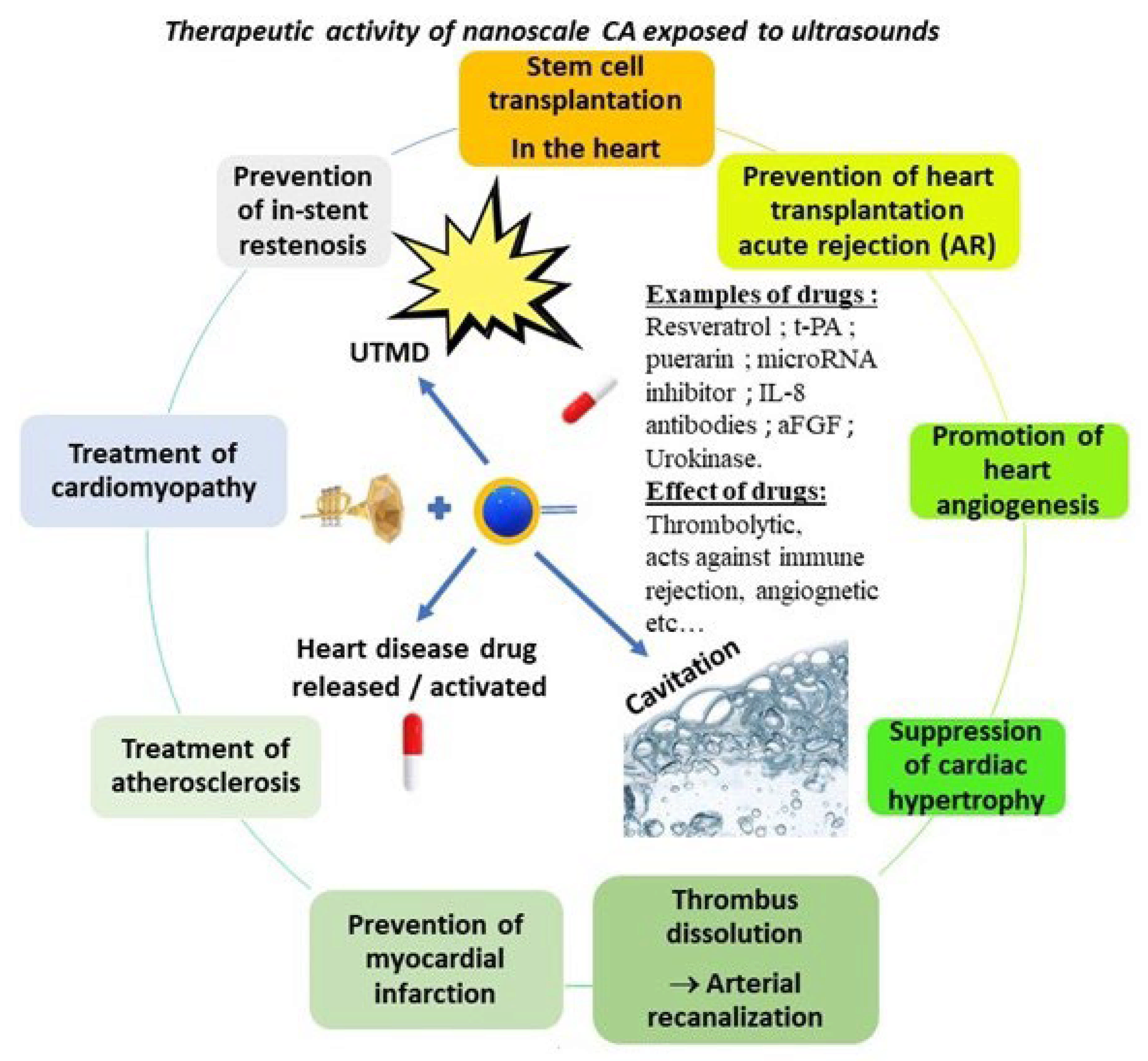 Ijms 23 01683 g004 Ijms 23 01683 g004