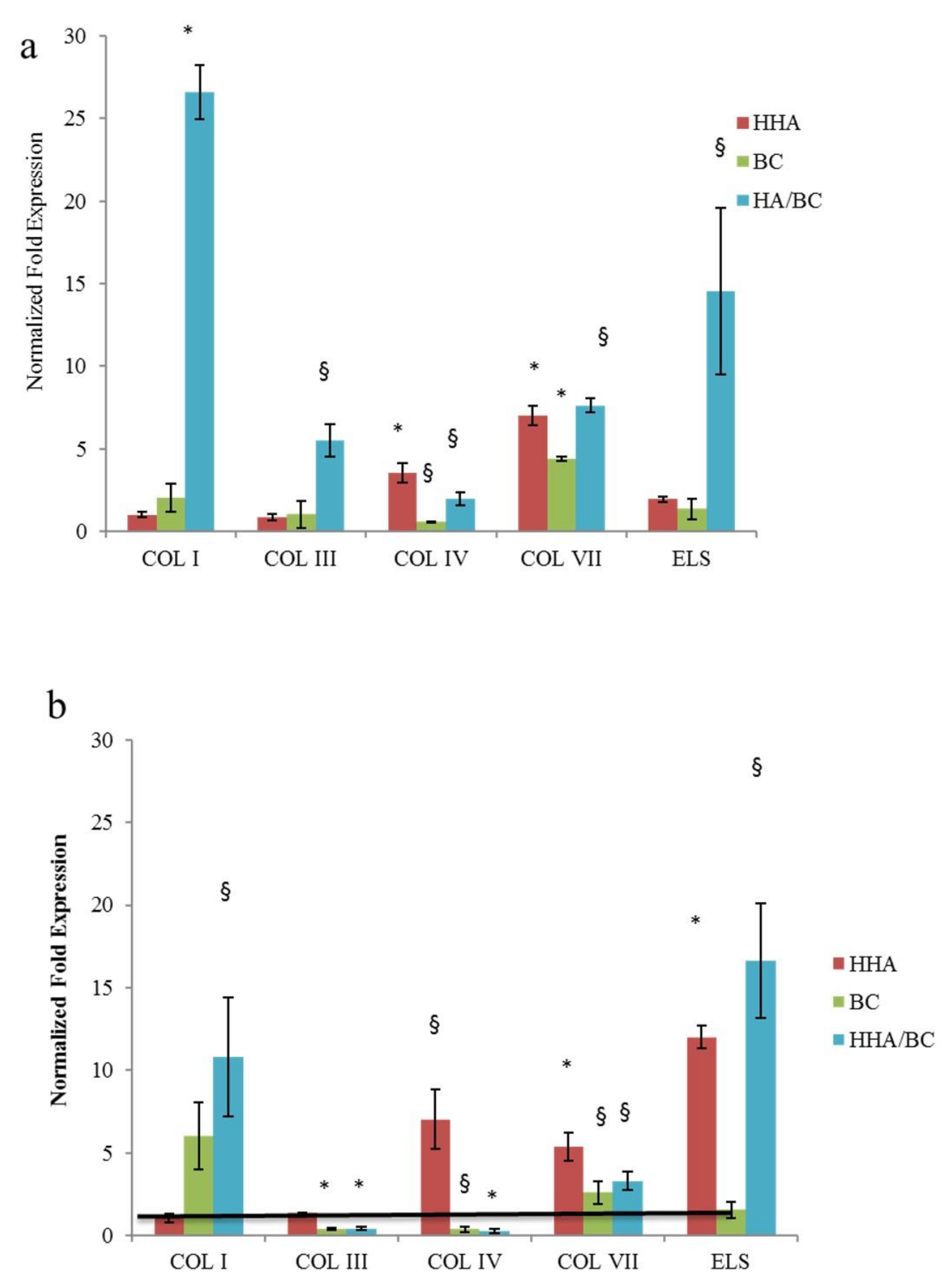 Ijms 23 01686 g006 550