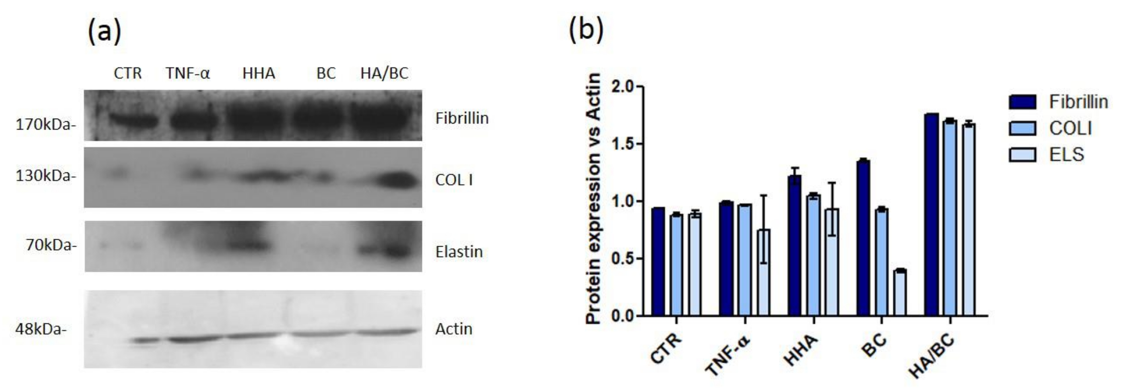 Ijms 23 01686 g010 550