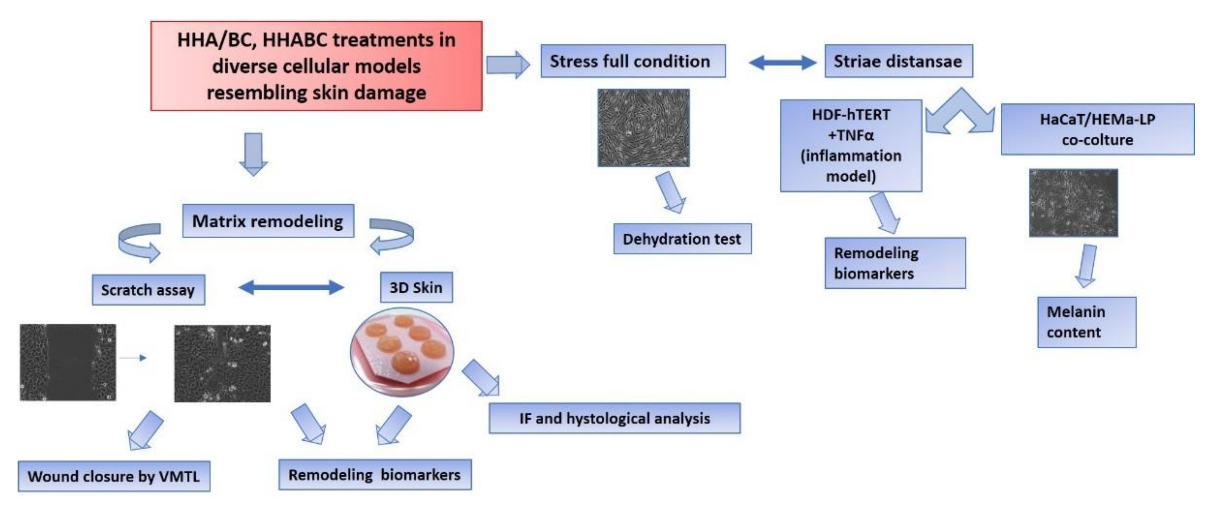 Ijms 23 01686 g013 550