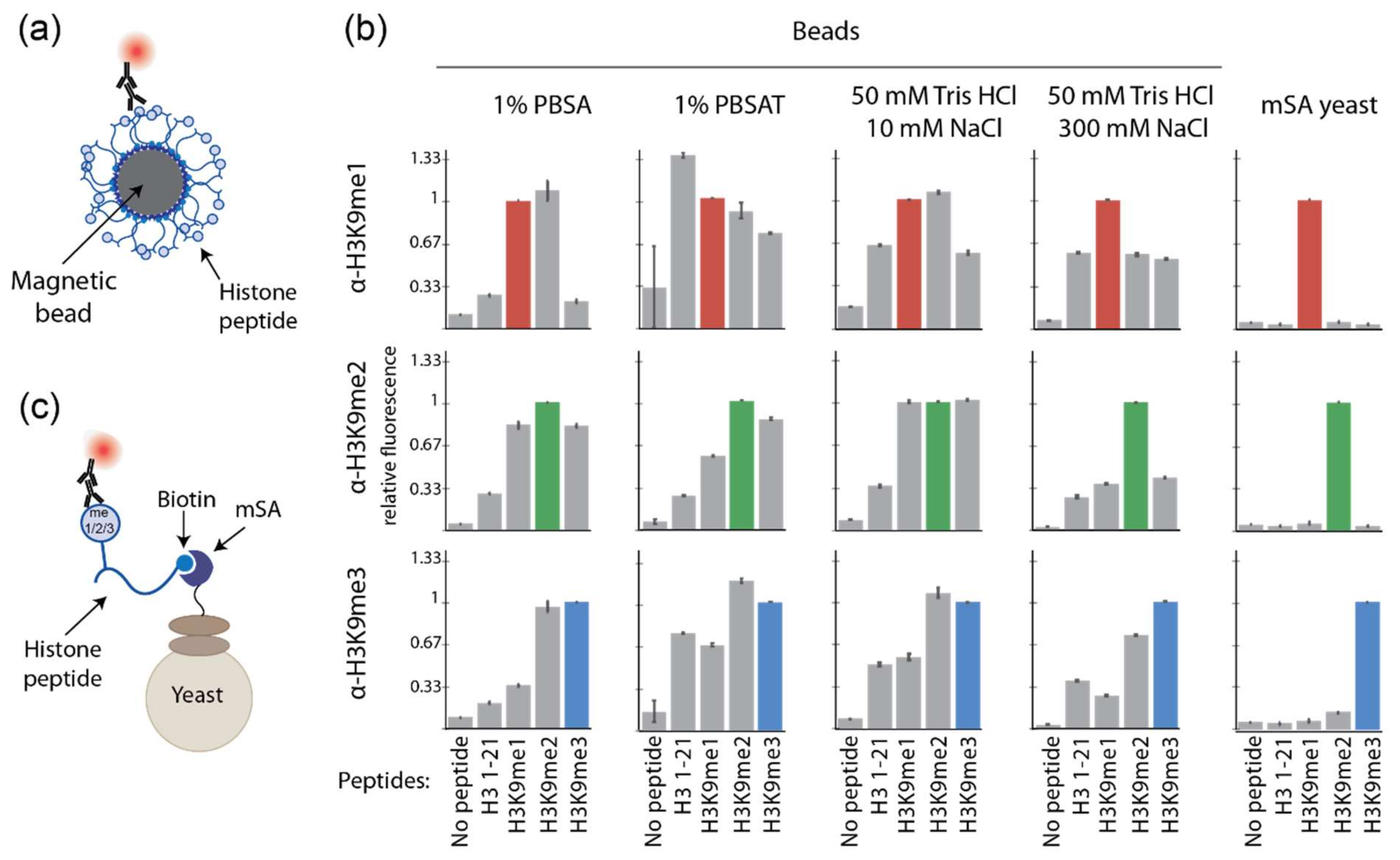 Ijms 23 01691 g003 550