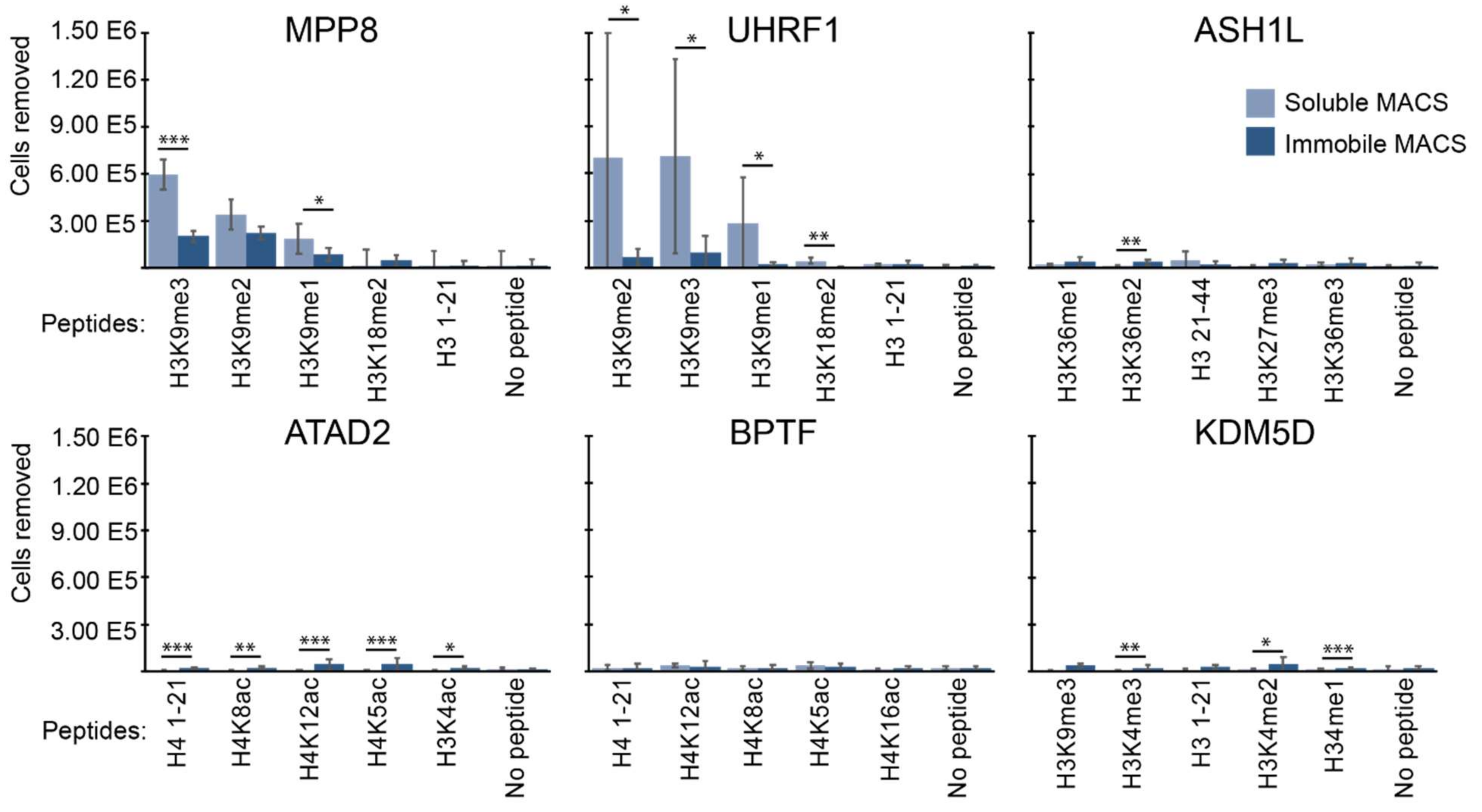 Ijms 23 01691 g006 550
