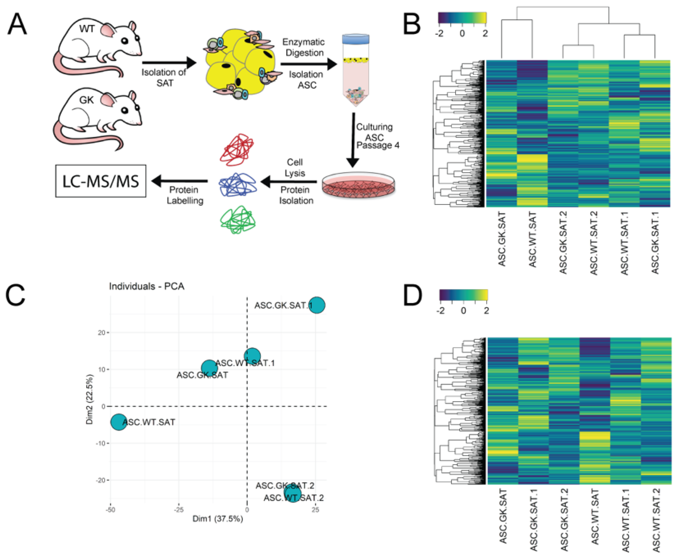 Ijms 23 01692 g002 550