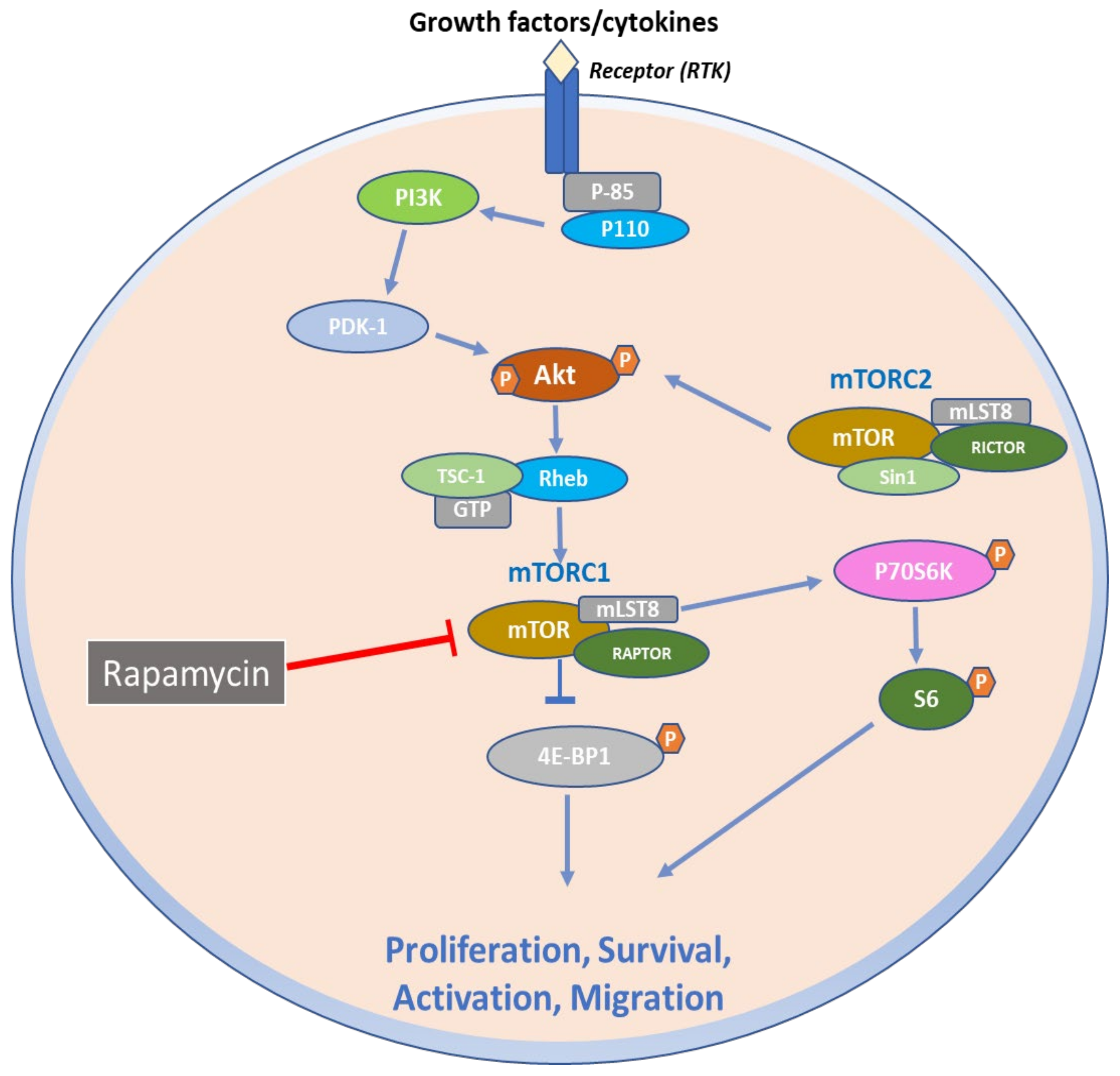 Ijms 23 01693 g001 550