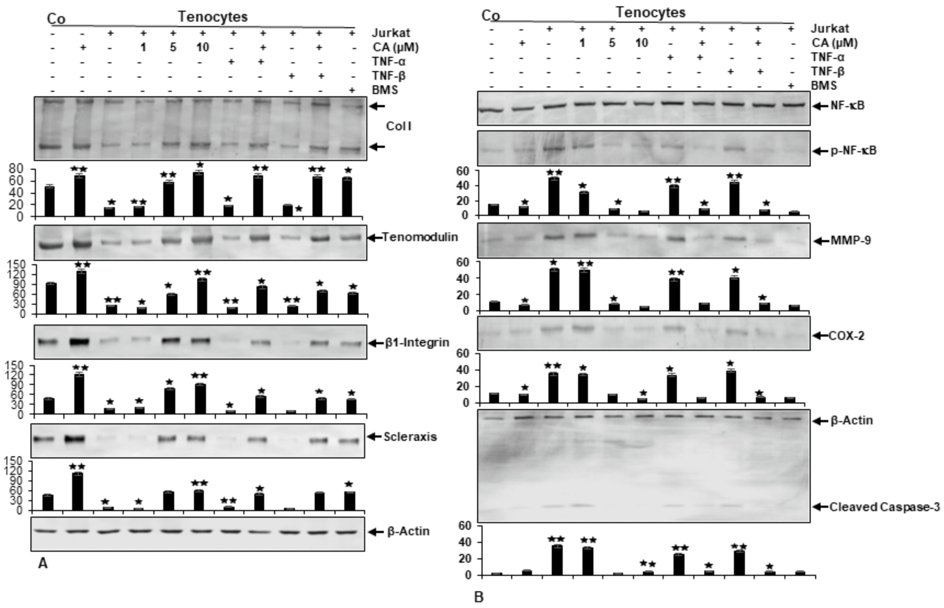 Ijms 23 01695 g004 550