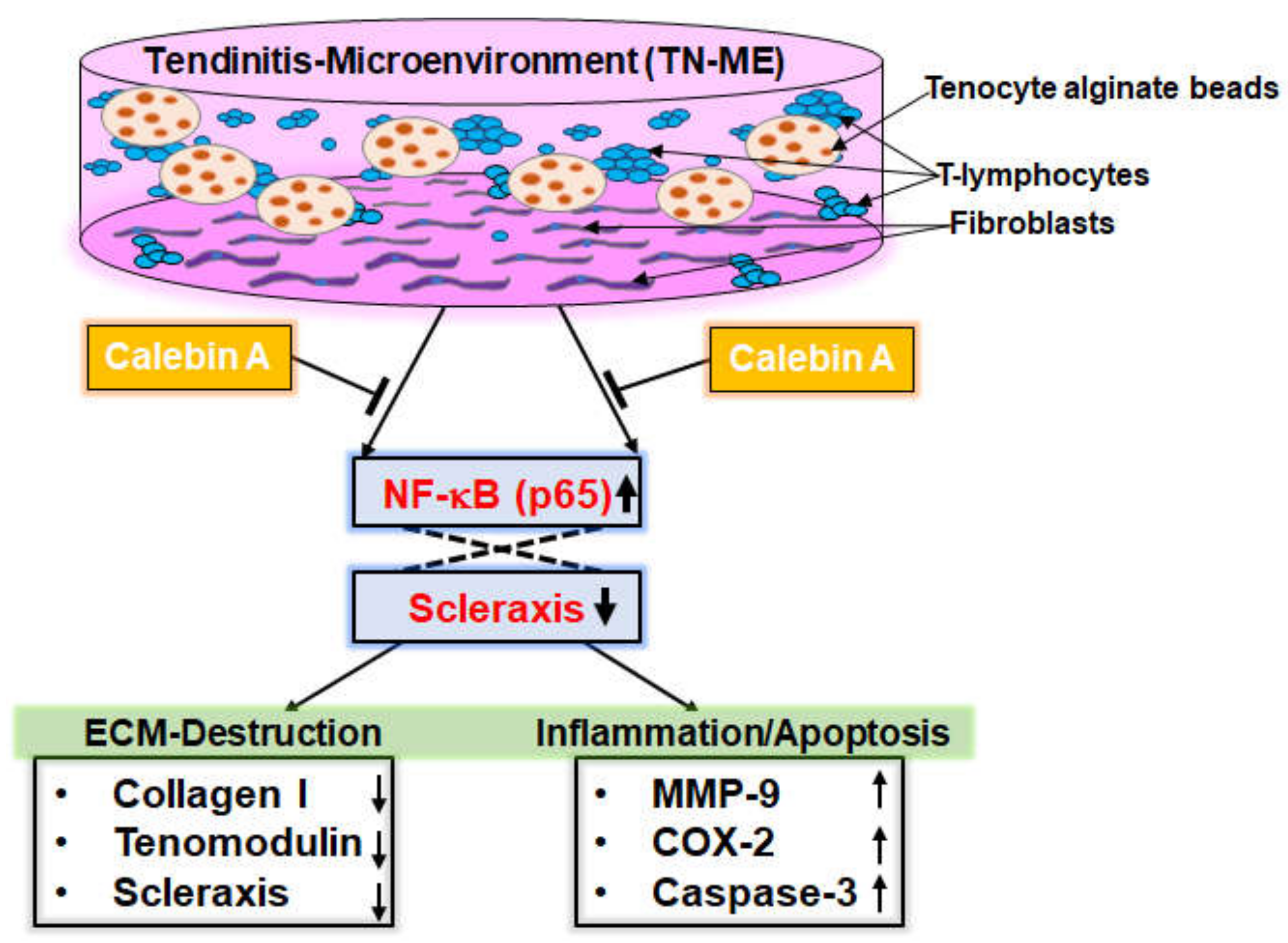 Ijms 23 01695 g008 550