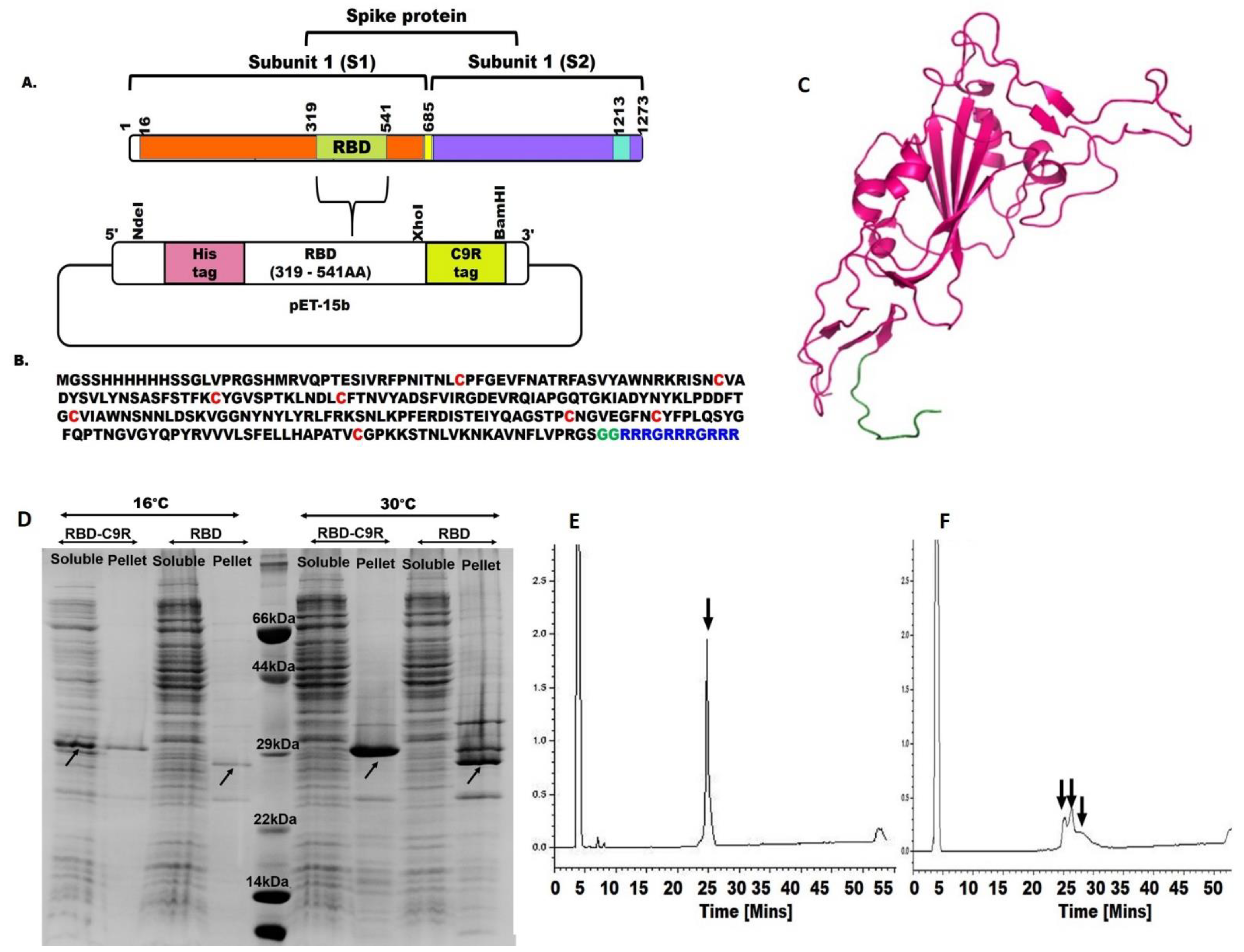 Ijms 23 01703 g001 550