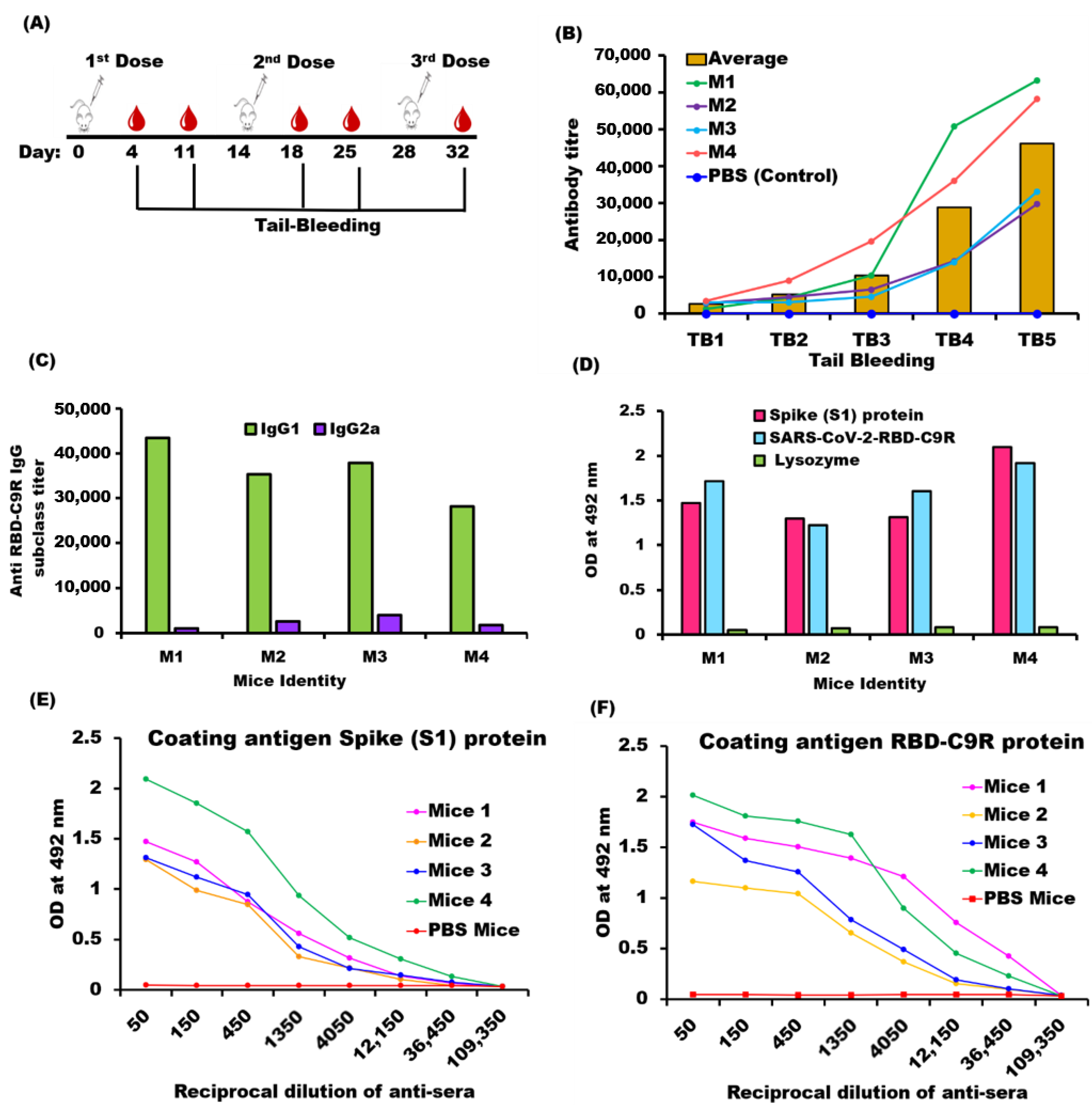 Ijms 23 01703 g004 550