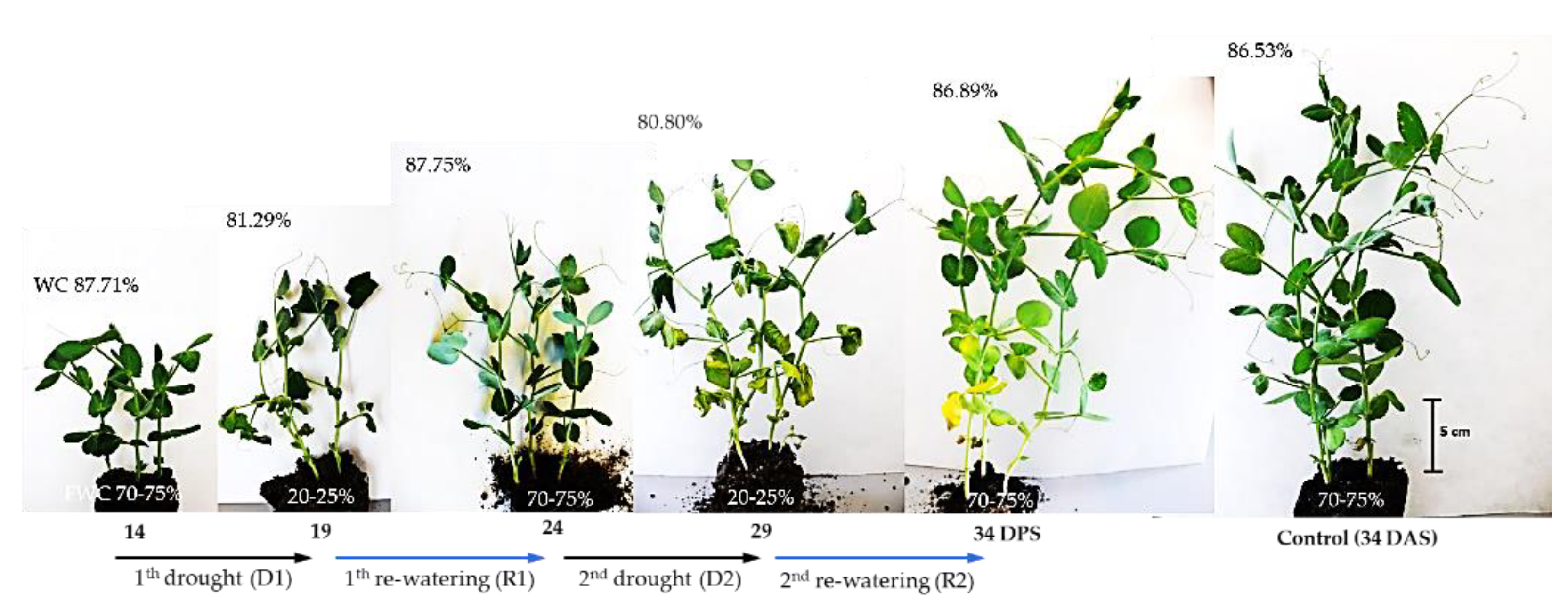 Ijms 23 01704 g001 550