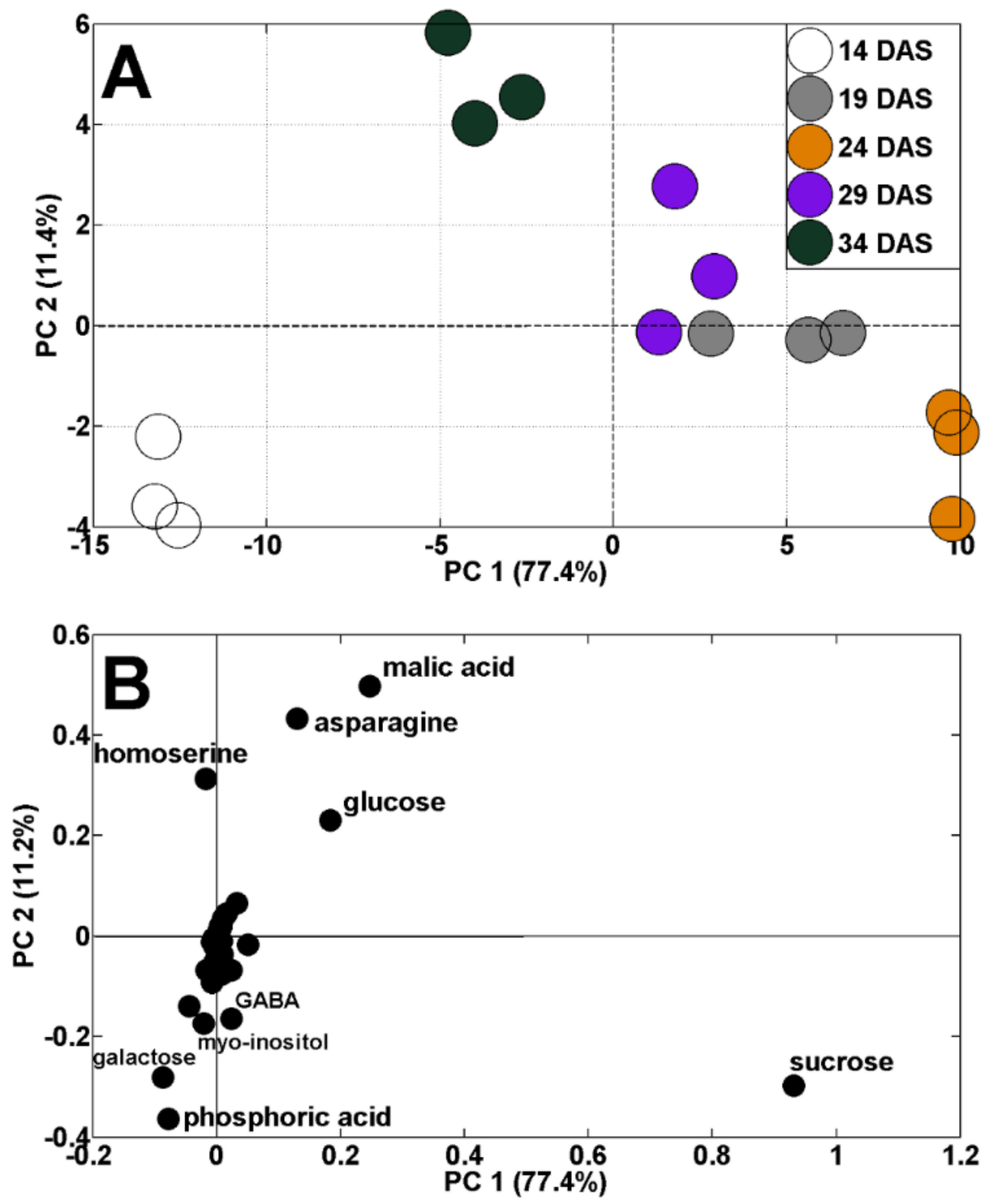 Ijms 23 01704 g003 550