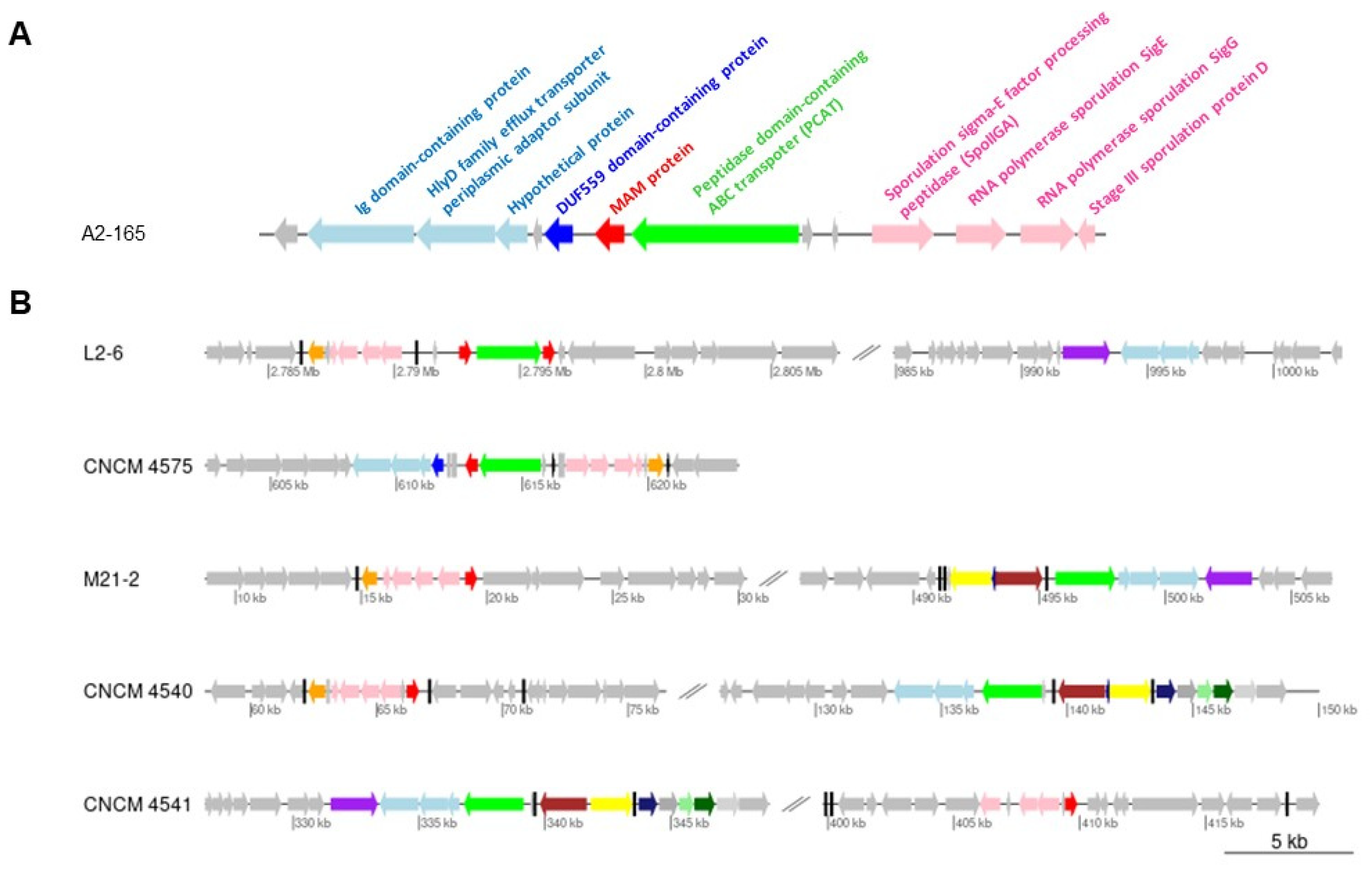 Ijms 23 01705 g001 550