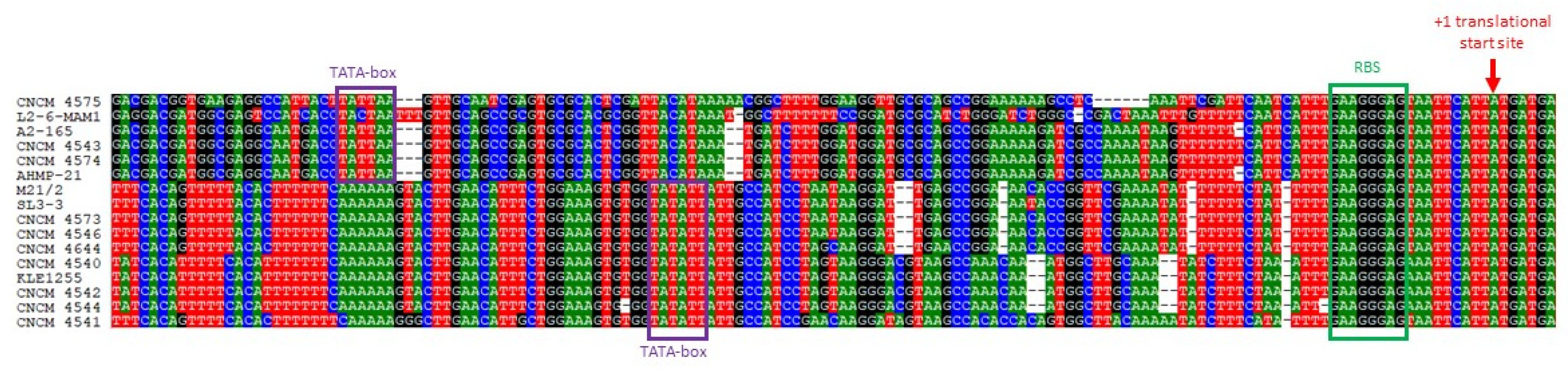 Ijms 23 01705 g002 550