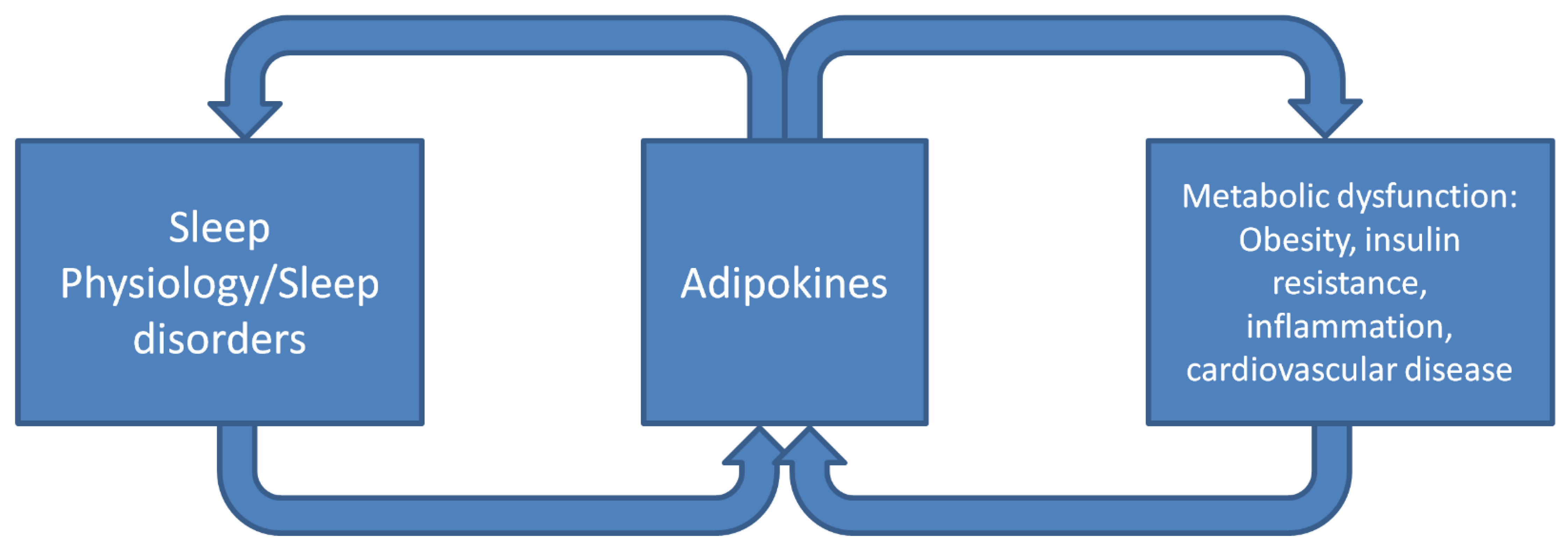 Ijms 23 01706 g002 Ijms 23 01706 g002