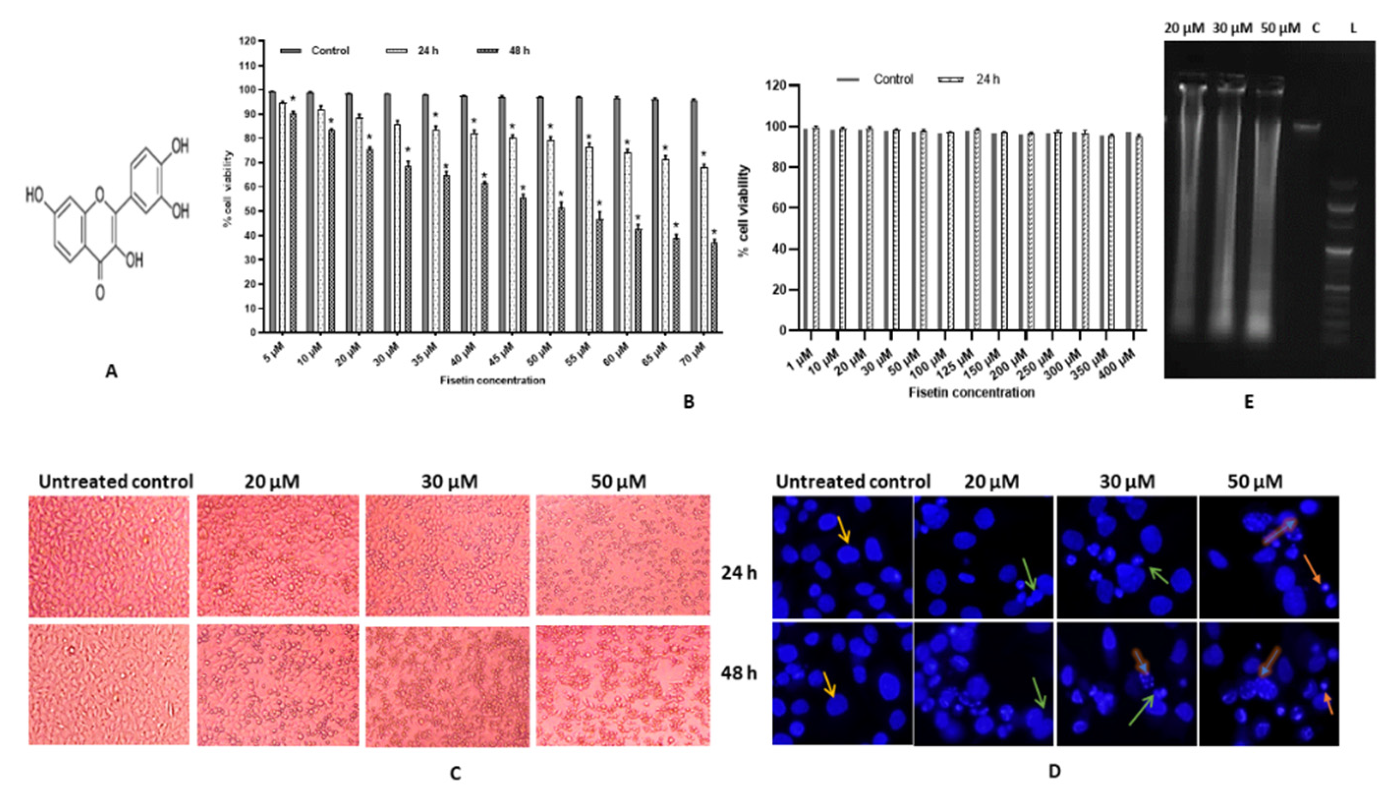 Ijms 23 01707 g001 550