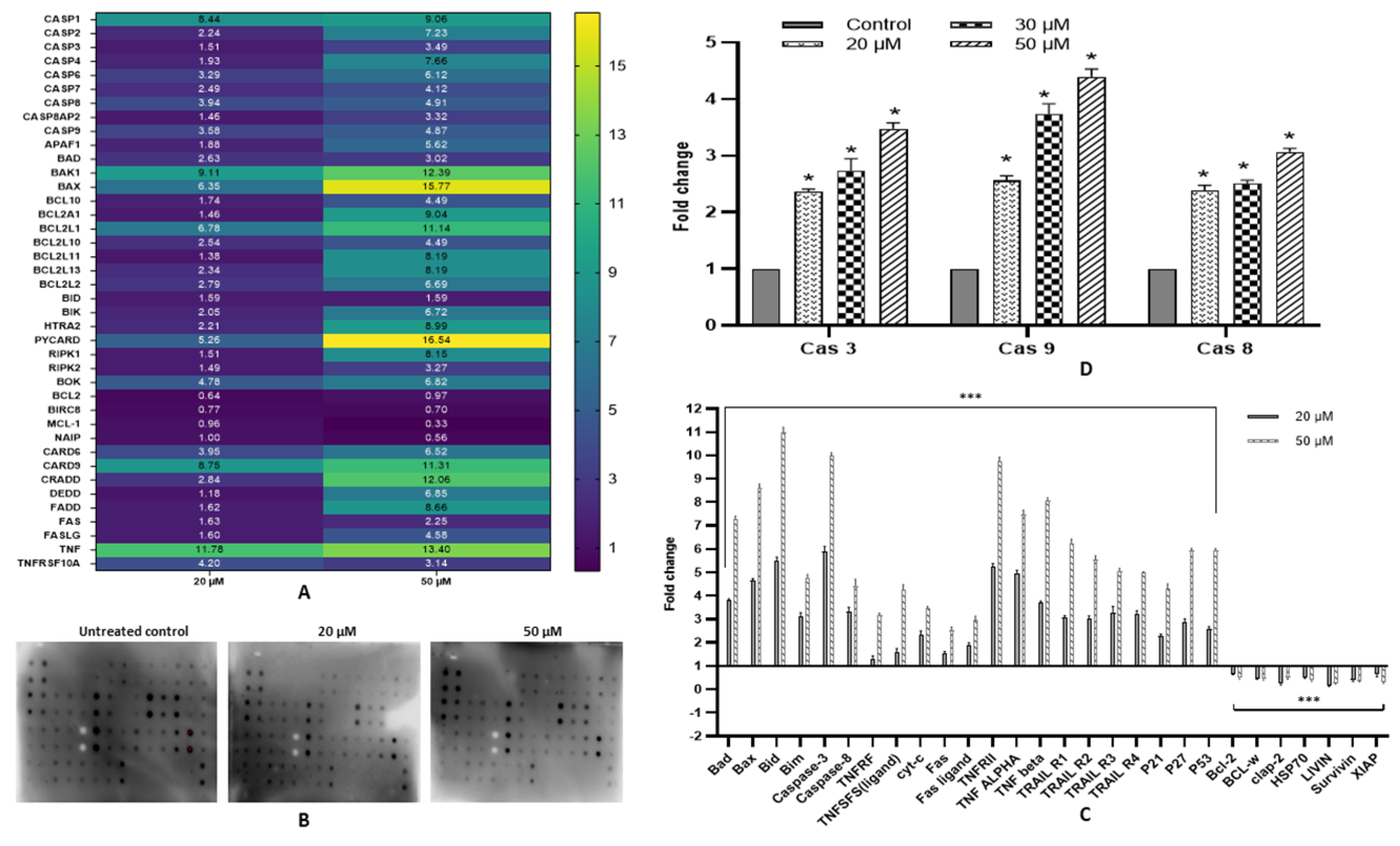 Ijms 23 01707 g004 550