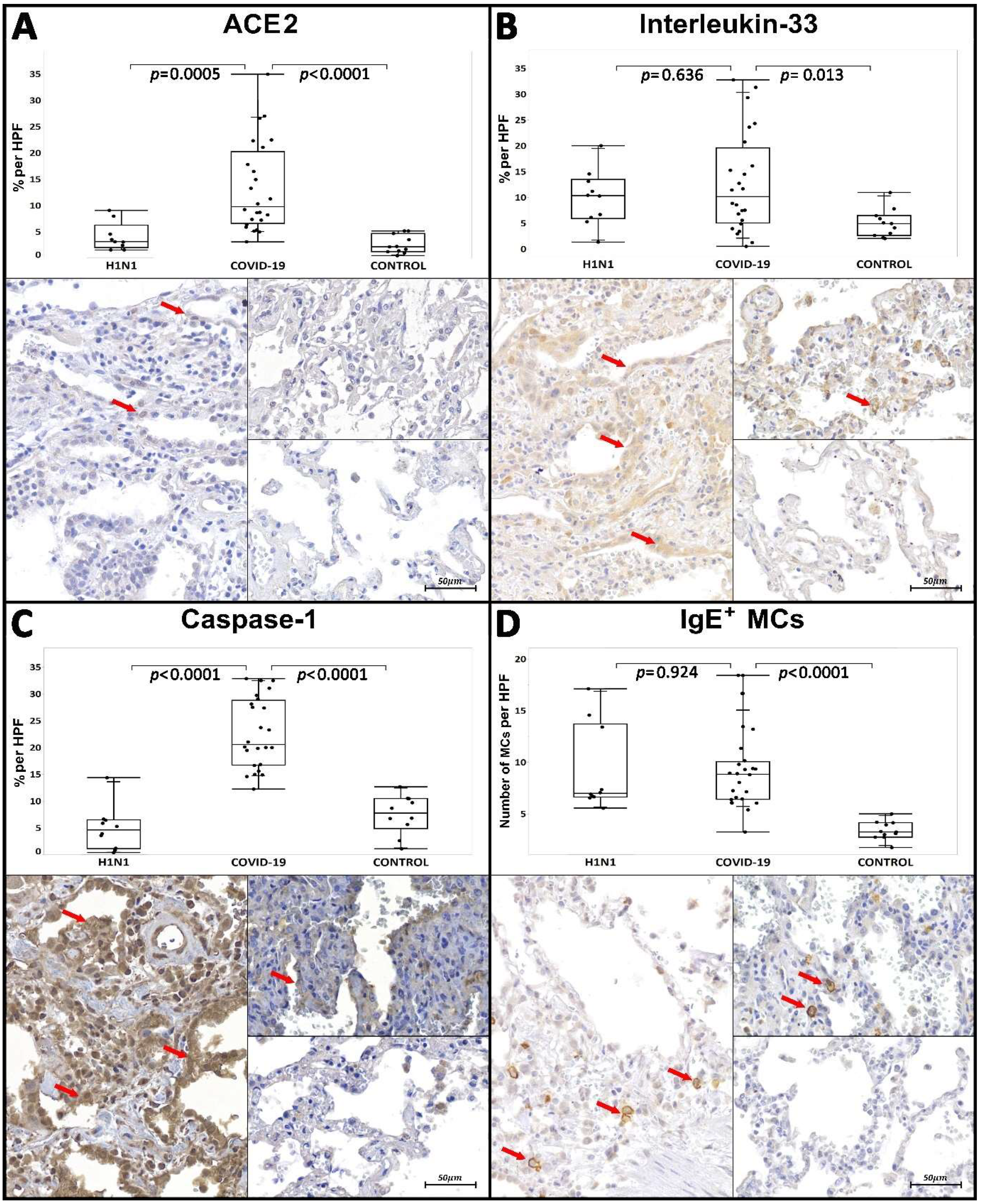 Ijms 23 01714 g001 Ijms 23 01714 g001