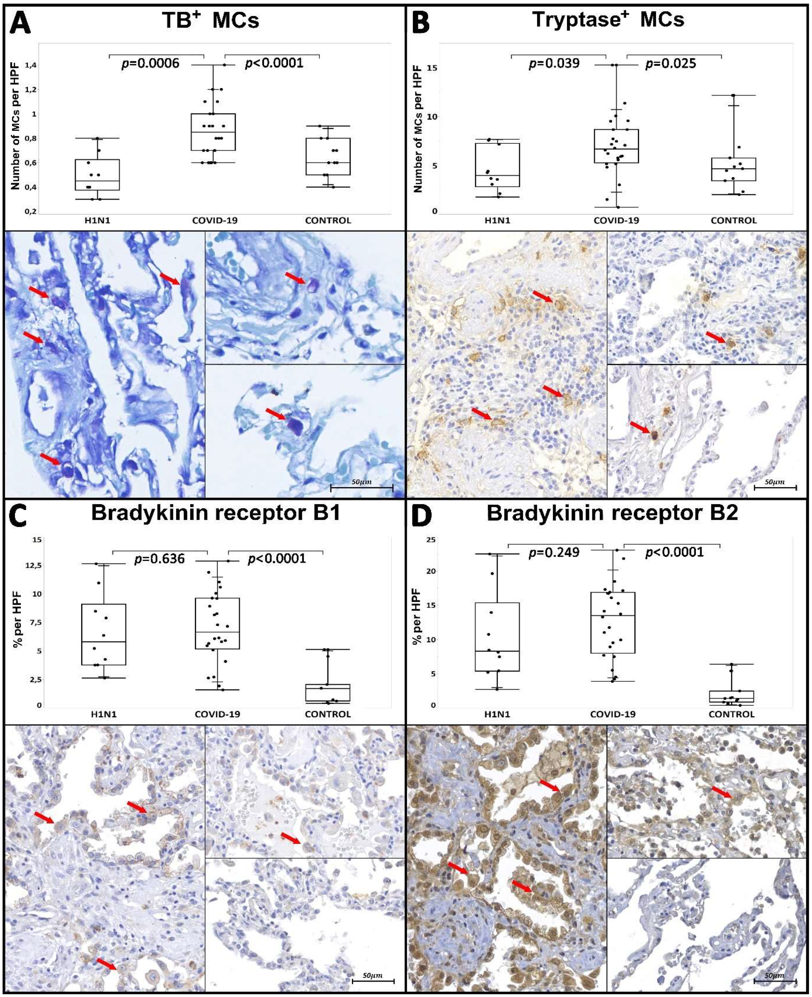Ijms 23 01714 g002 Ijms 23 01714 g002