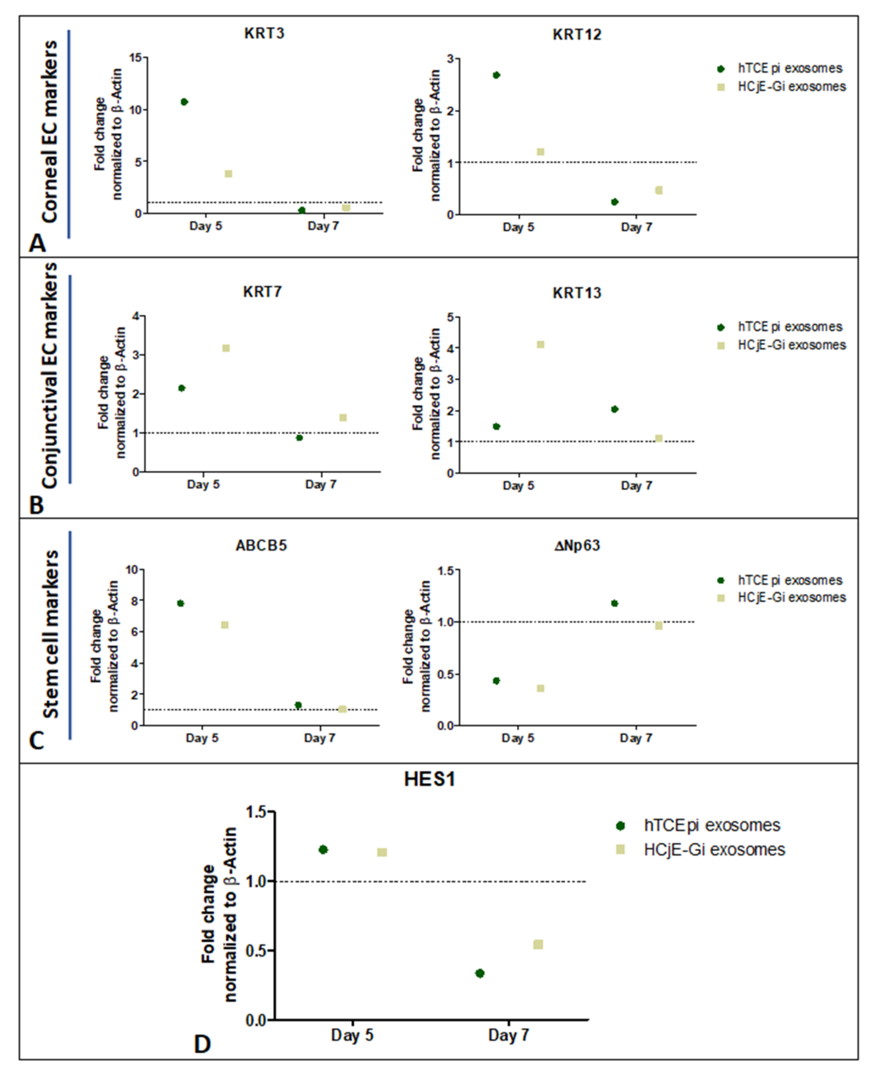 Ijms 23 01718 g006 550