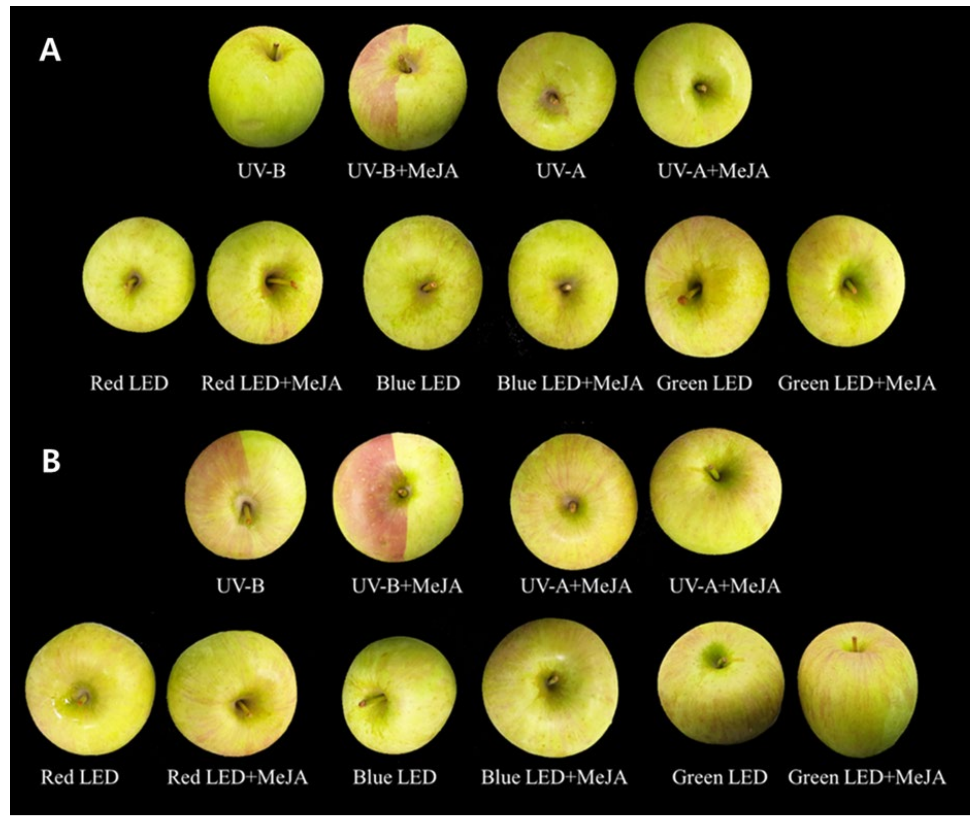 Ijms 23 01722 g001 550