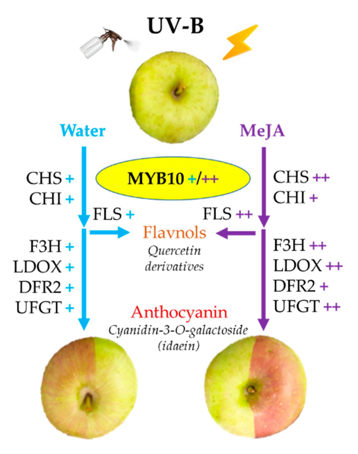 Ijms 23 01722 g009 550