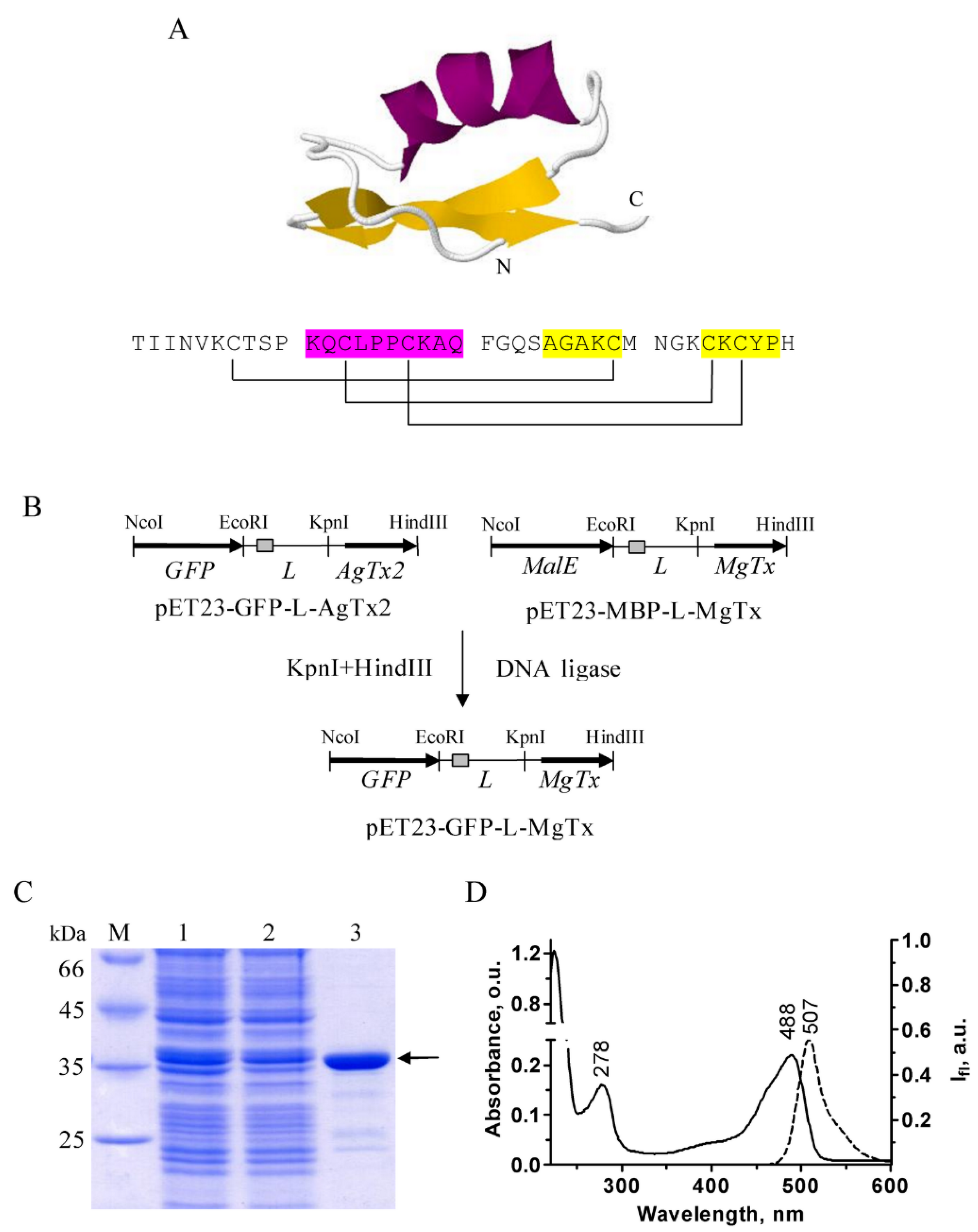 Ijms 23 01724 g001 Ijms 23 01724 g001