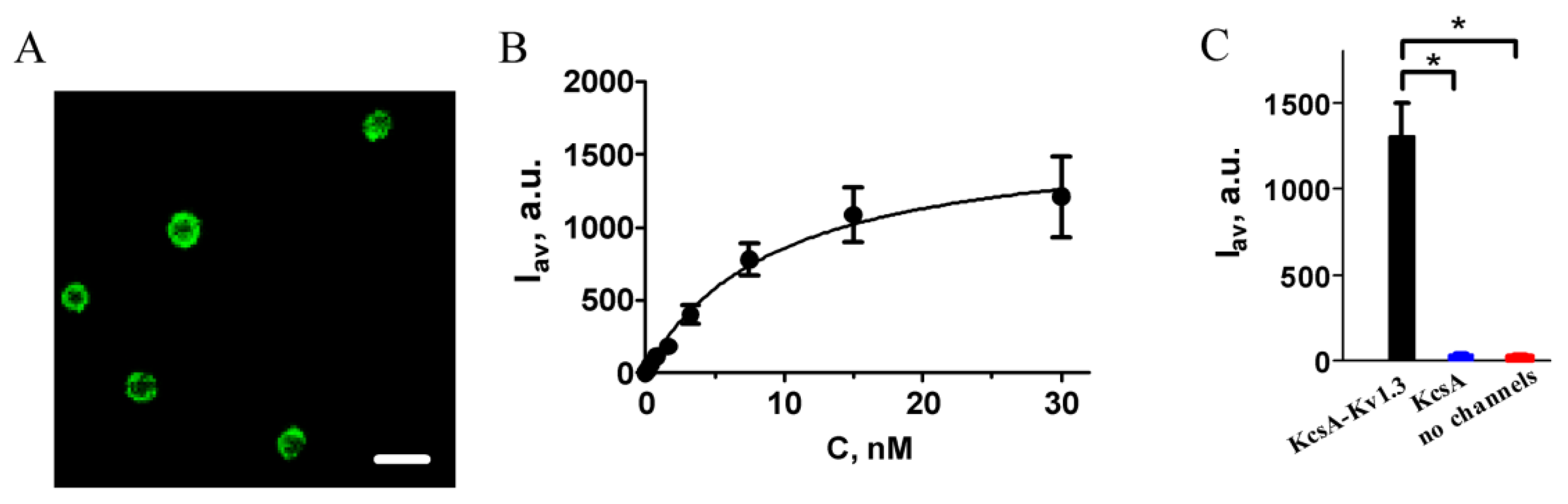 Ijms 23 01724 g002 Ijms 23 01724 g002